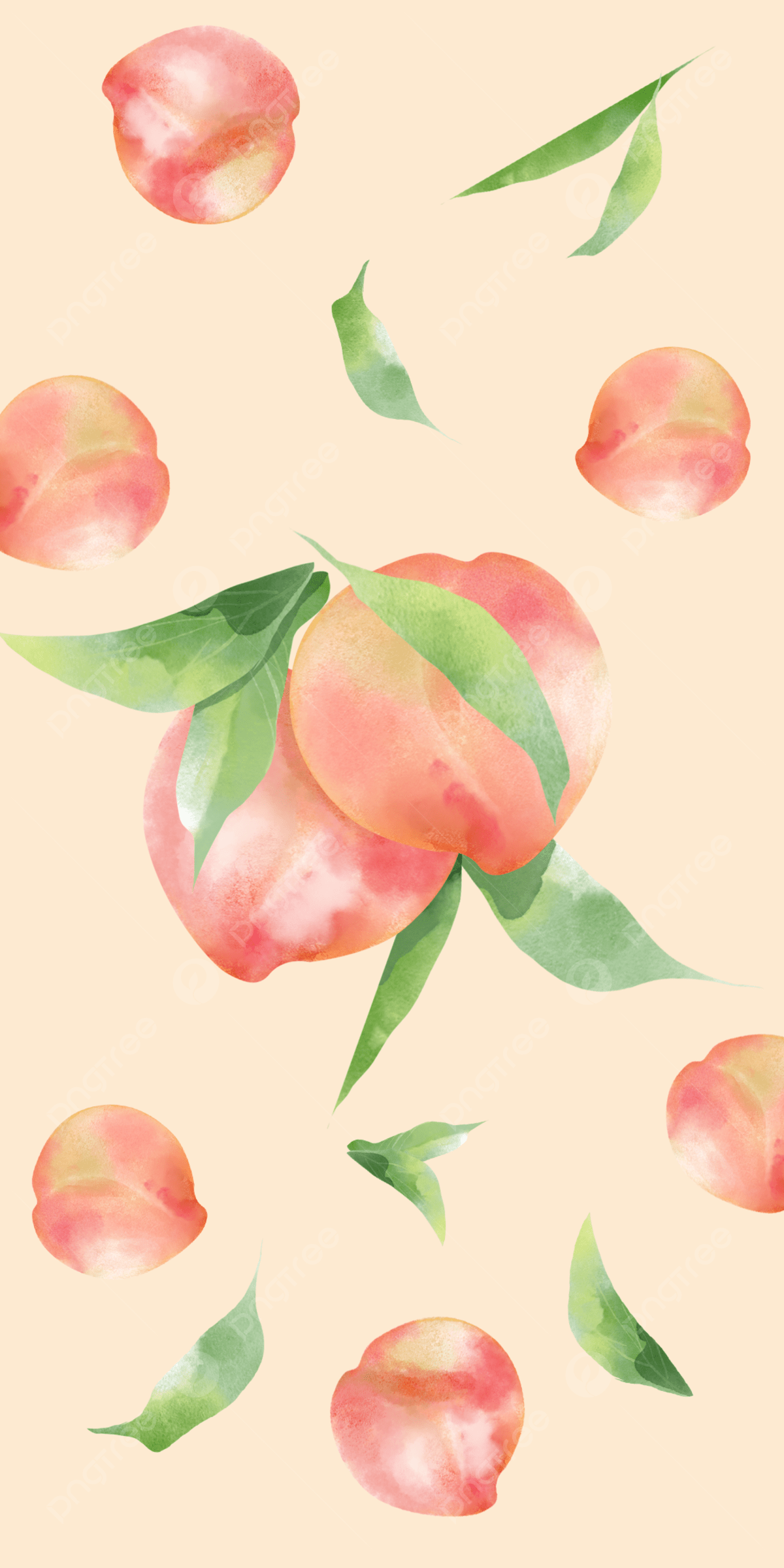 Aesthetic wallpaper for phone with watercolor green leaf and peach background. - Peach
