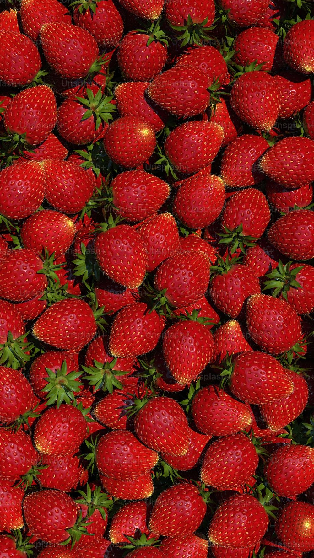 A large pile of fresh strawberries. - Strawberry