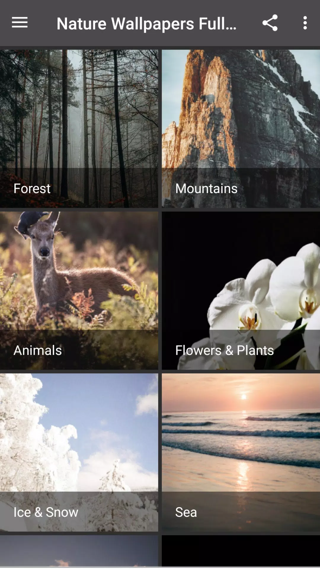 A collage of nature photos including deer, flowers, mountains, and the ocean. - Nature