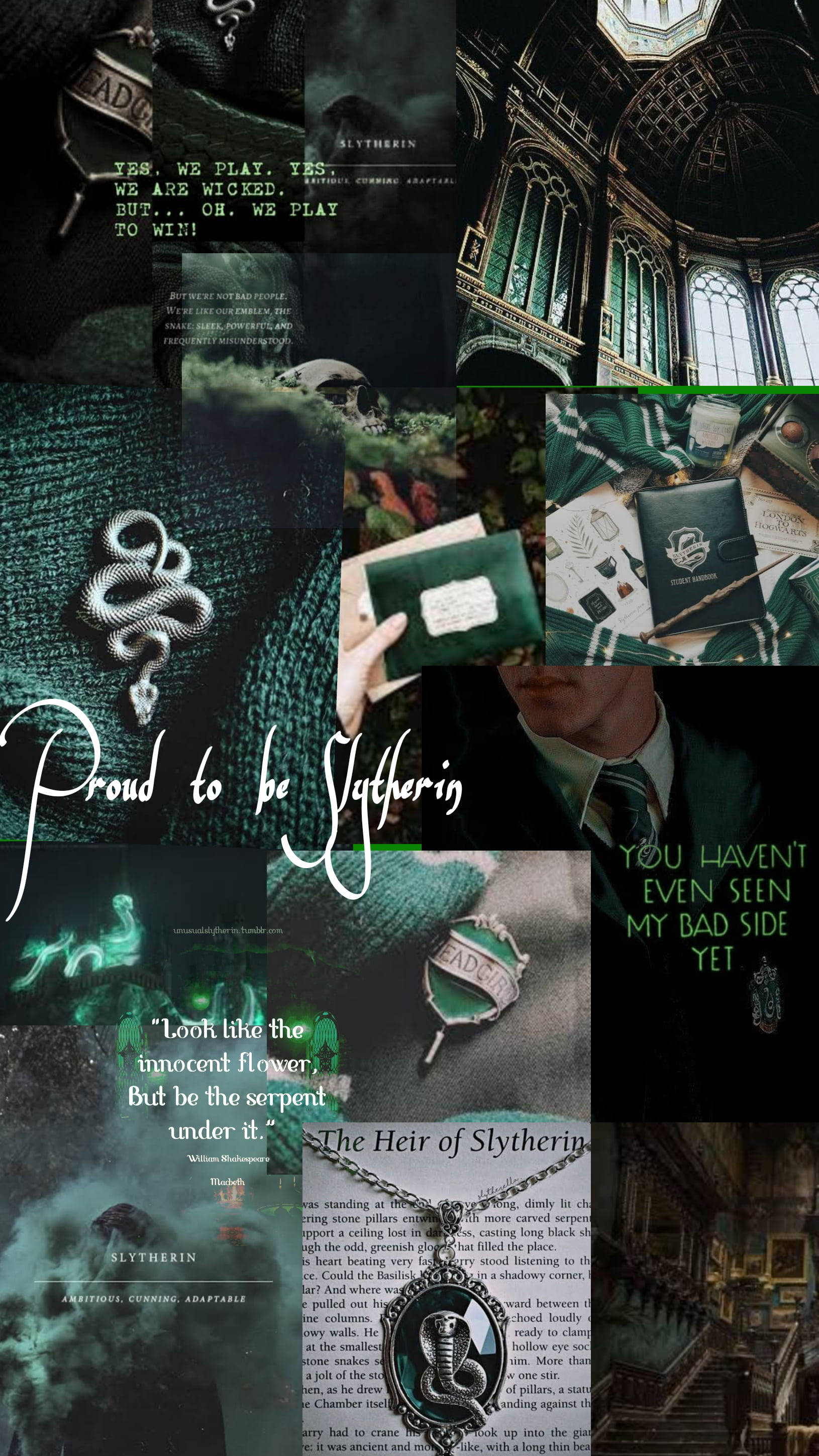 Harry Potter collage with images of Hogwarts and the Sorting Hat. - Harry Potter, Slytherin