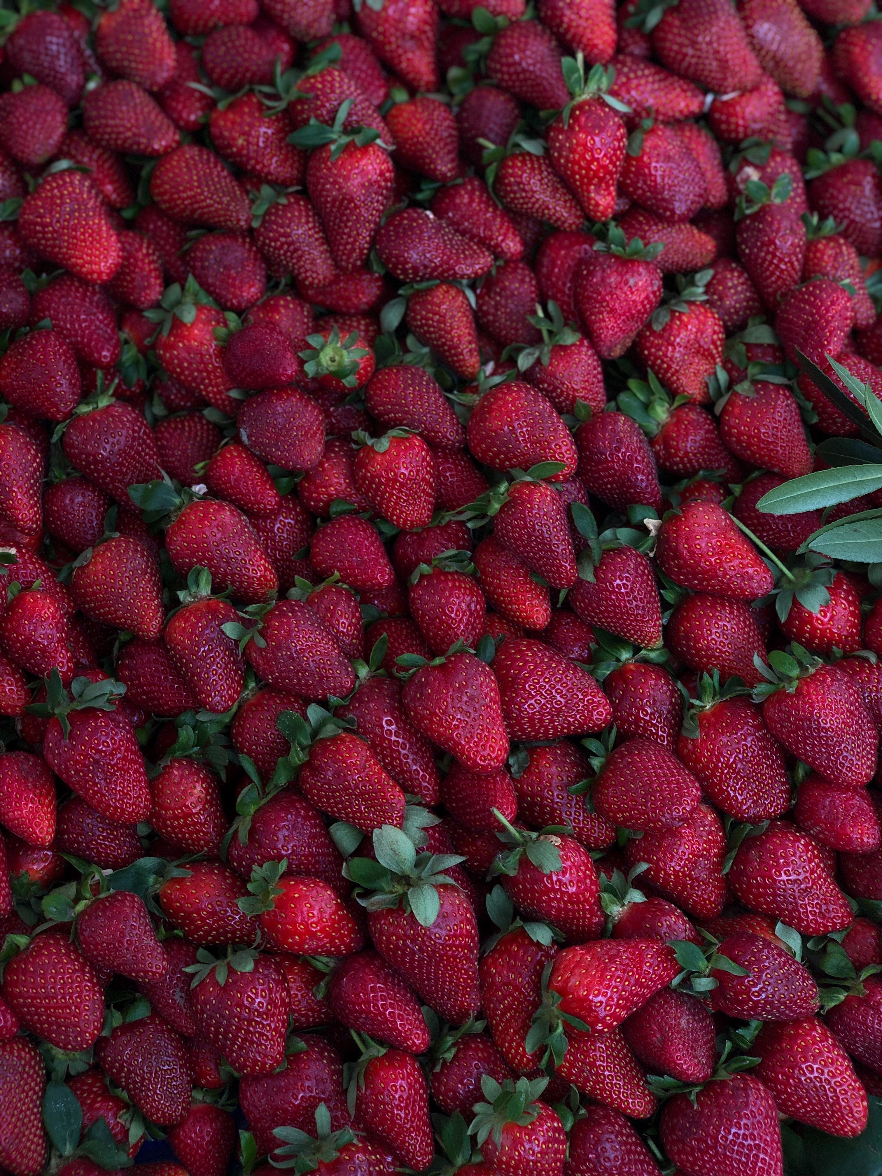 A large pile of strawberries. - Strawberry