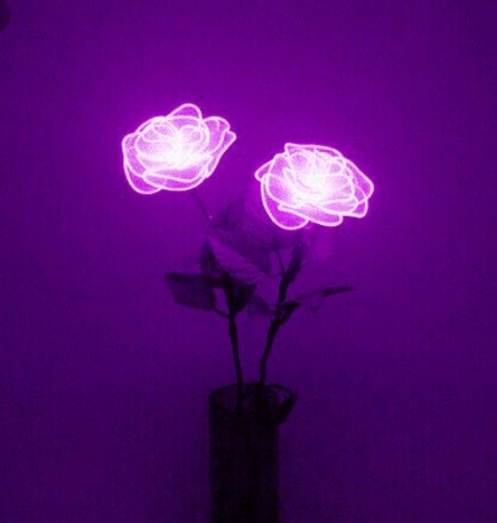 Download Purple Aesthetic Phone Neon Roses Wallpaper