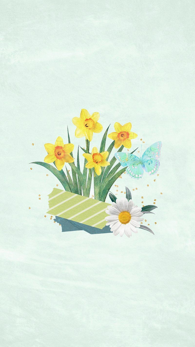 Wallpaper Daffodil Flower Image Wallpaper