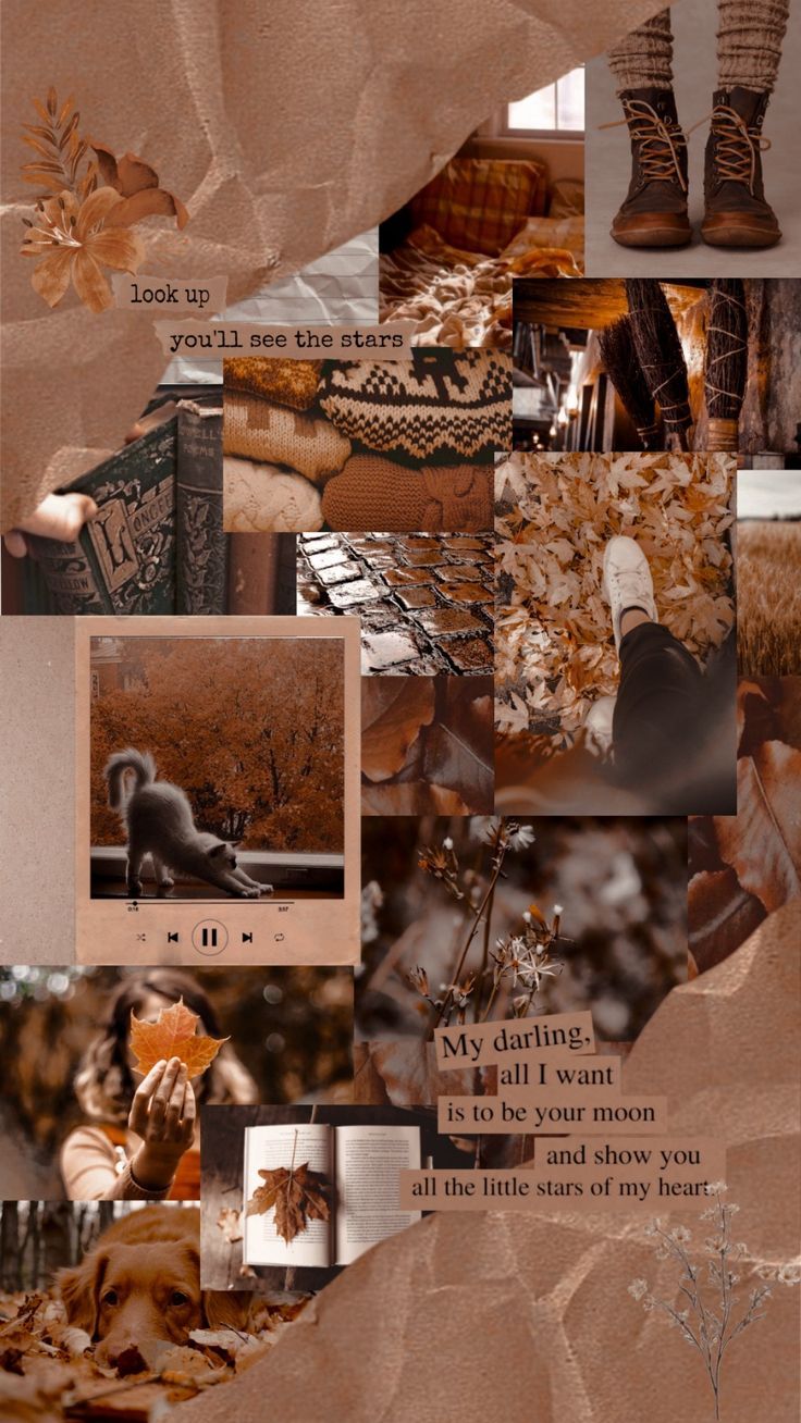 Aesthetic collage of brown and orange photos, including leaves, books, and boots. - Stars, collage