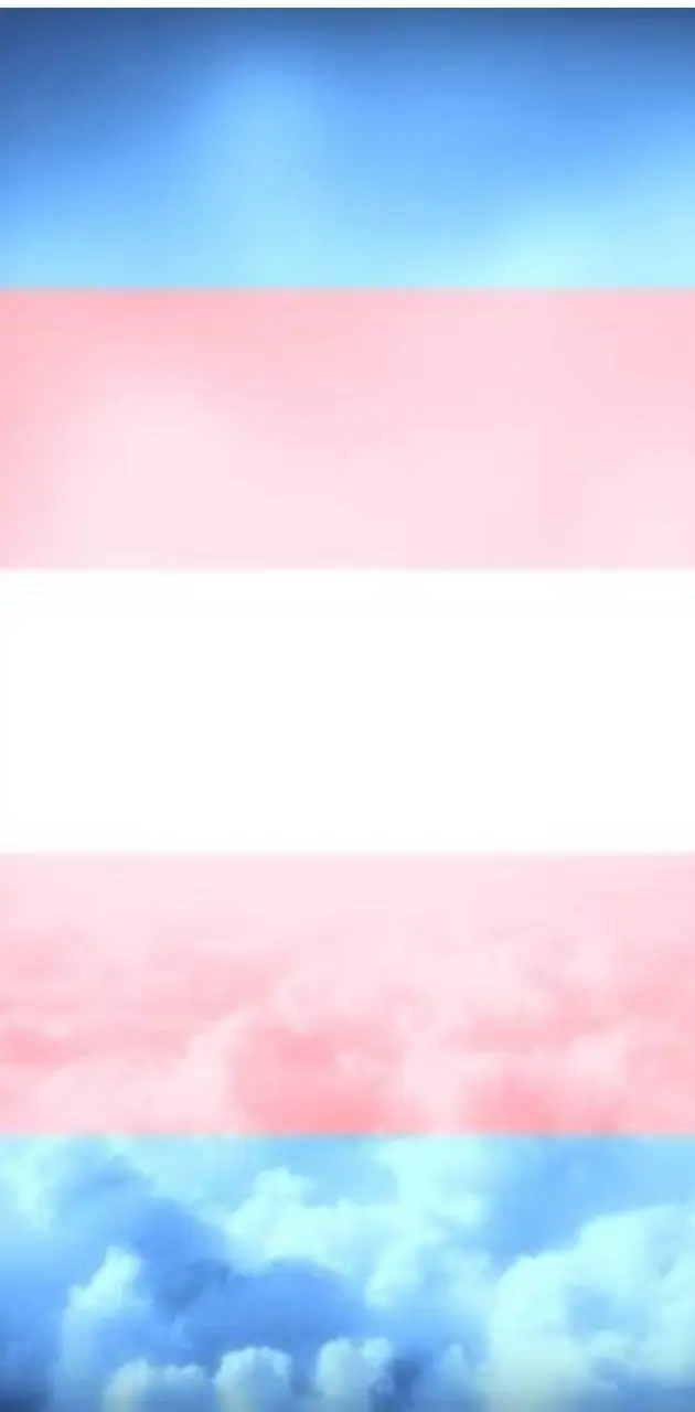 A flag of trans pride, with a background of a sky with clouds. - Pride