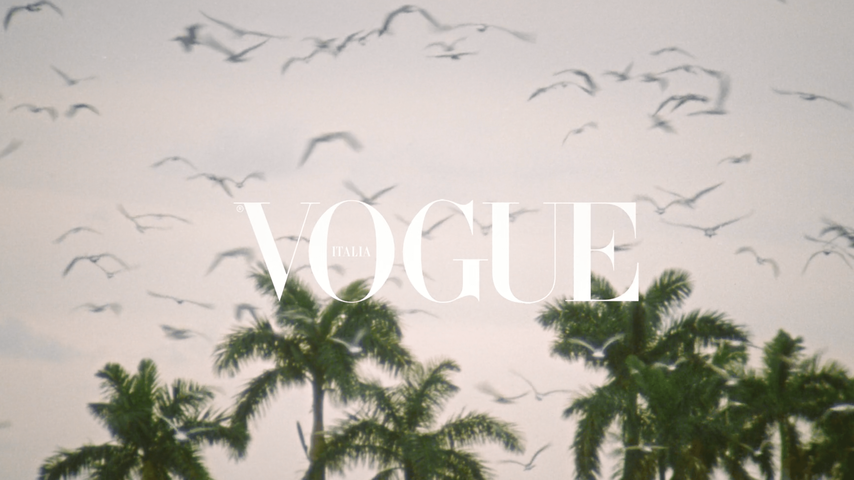 A flock of birds flying over palm trees with the words 