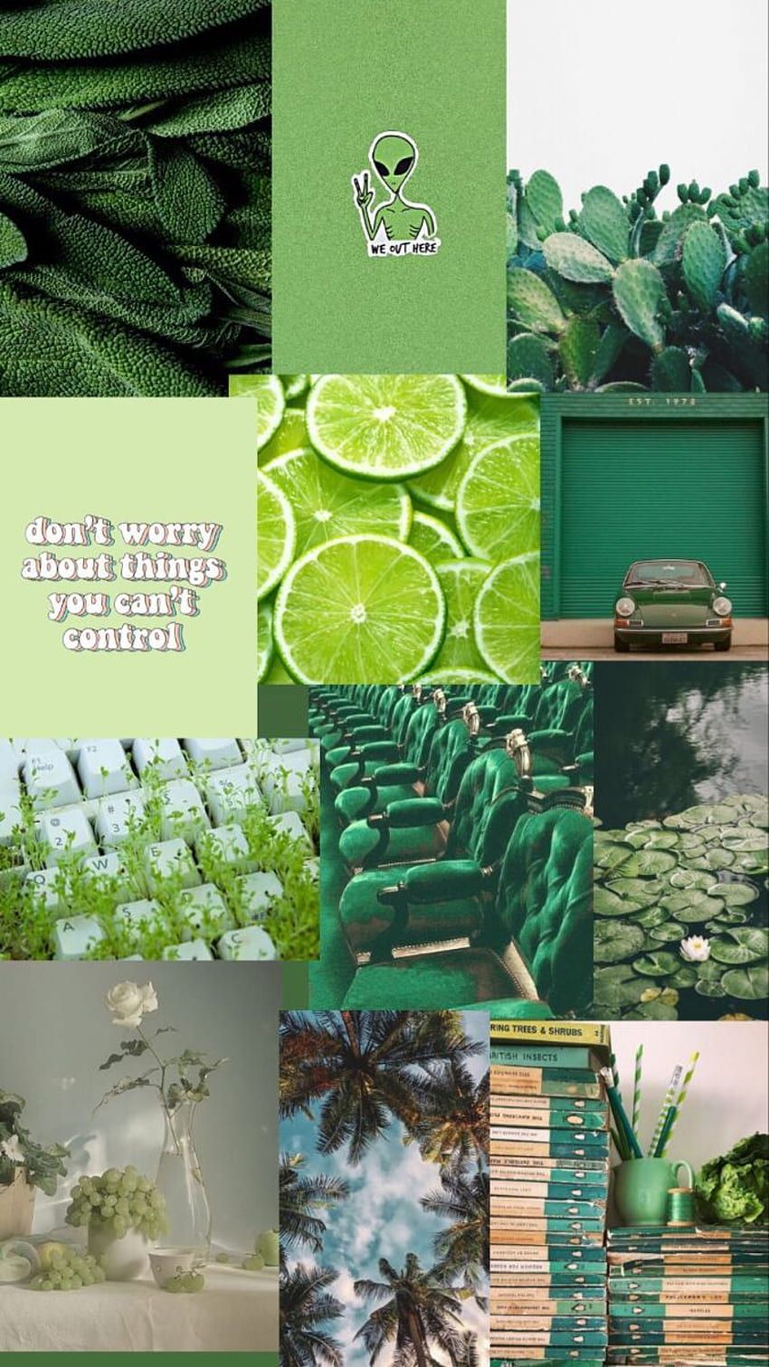 A collage of green aesthetic pictures including books, plants, and lime slices. - Lime green