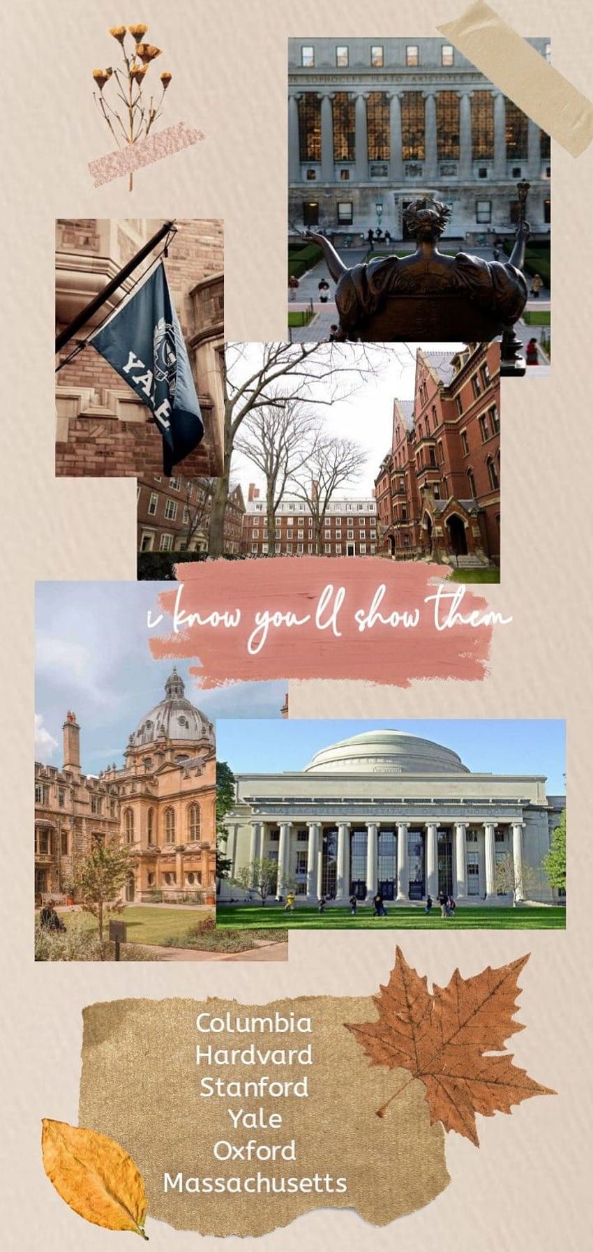 Collage of ivy league colleges with text that says 