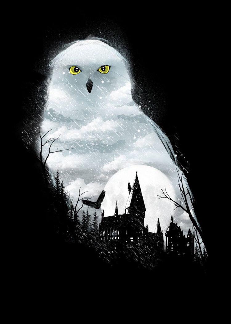 A snowy owl in the moonlight with Hogwarts in the background - Harry Potter