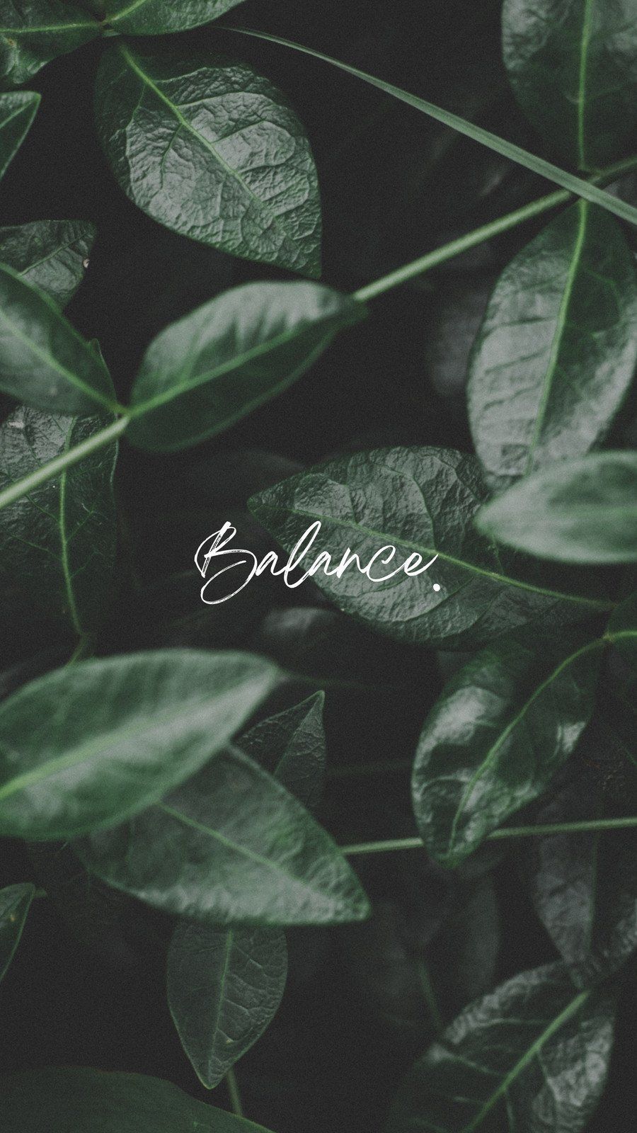 IPhone wallpaper with the word balance on a background of green leaves - Balance, leaves