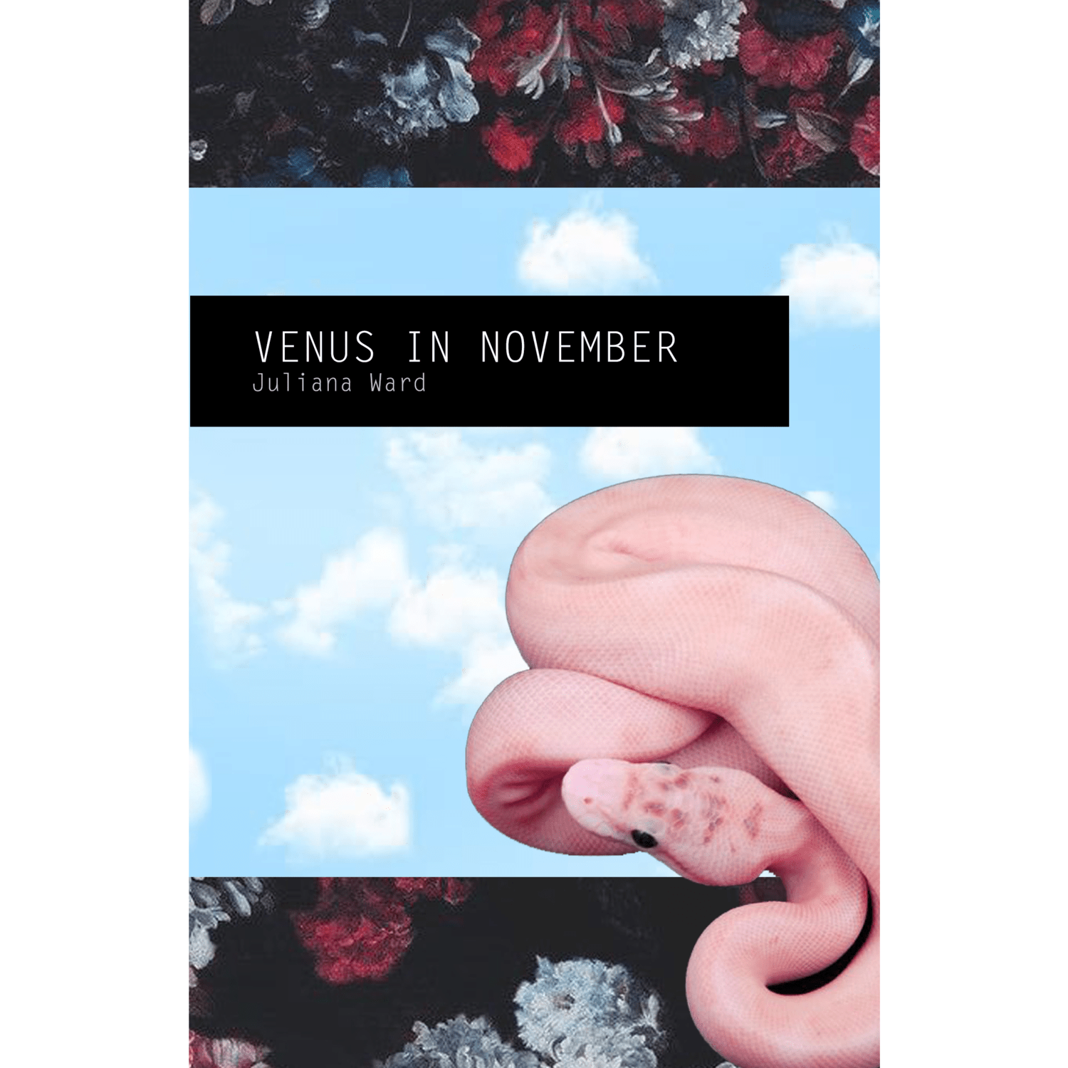 The cover of Venus in November by Juliana Ward. The cover features a blue sky with clouds and red and blue flowers at the top. A pink snake is wrapped around the bottom of the cover. - Venus