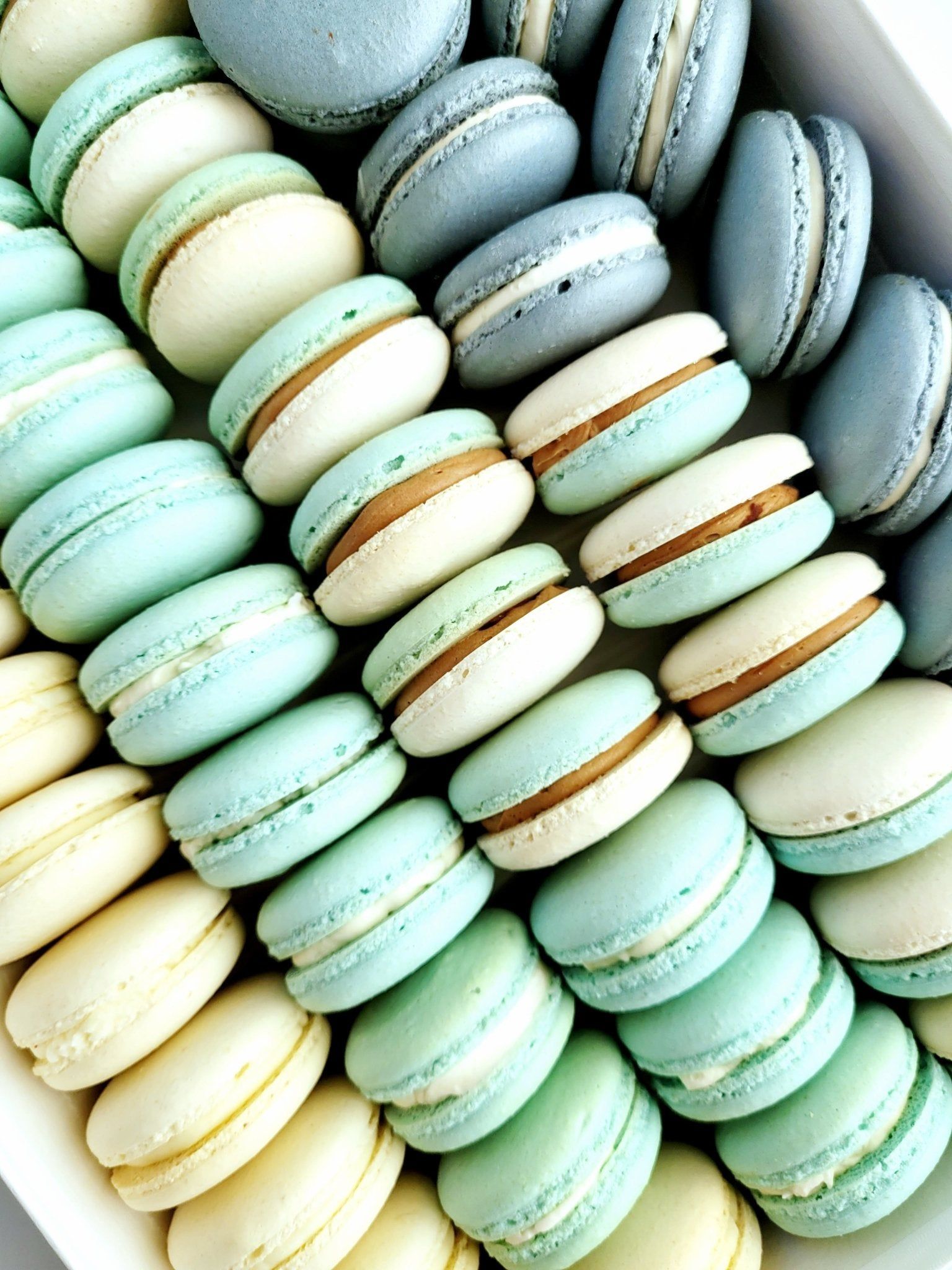A plate of macarons in a variety of colors. - Macarons