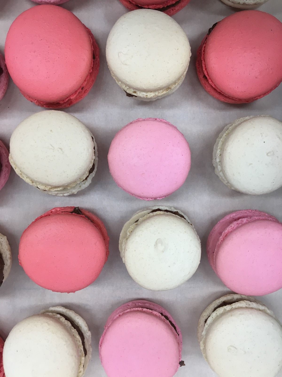 Handmade Gourmet Macarons Valentines by Mo's Fudge Factor: We are your premium fudge confectioner