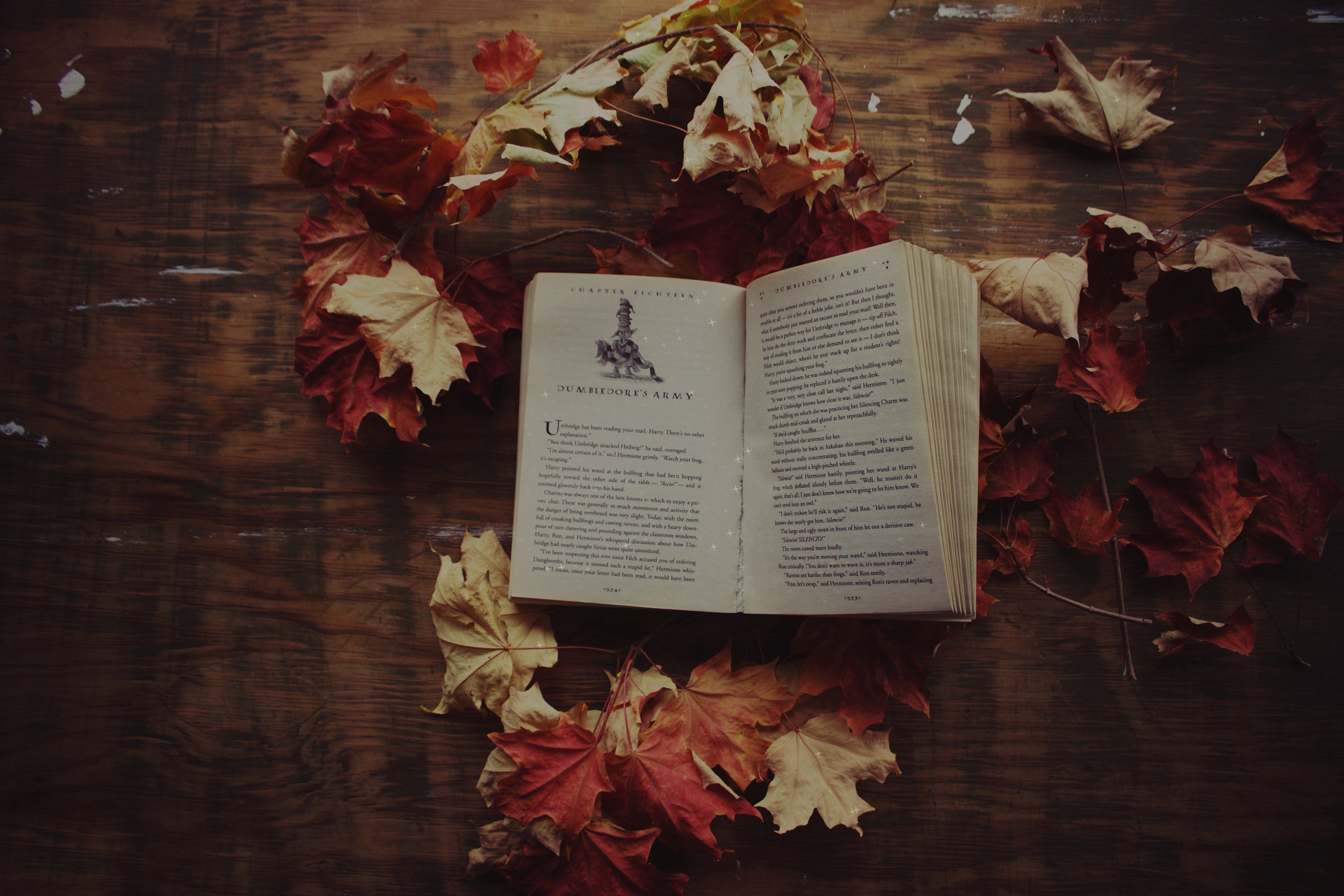 A book is laying on the ground with leaves - Harry Potter