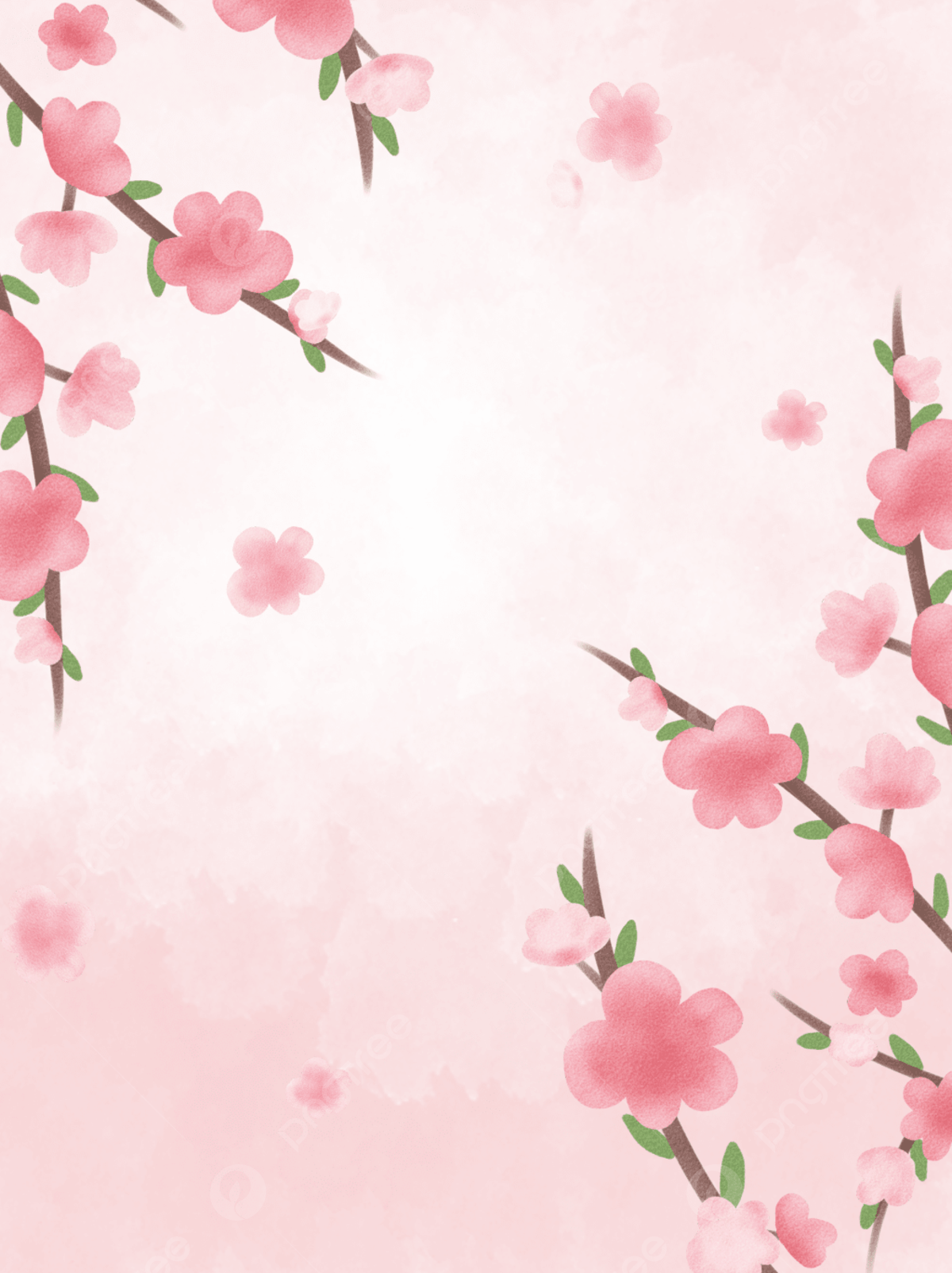 A pink floral background with a watercolor style - Cherry blossom