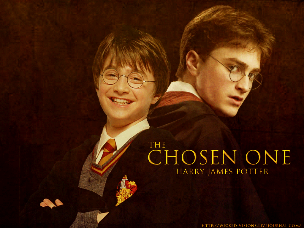 The chosen one harry potter and ron weasley - Harry Potter