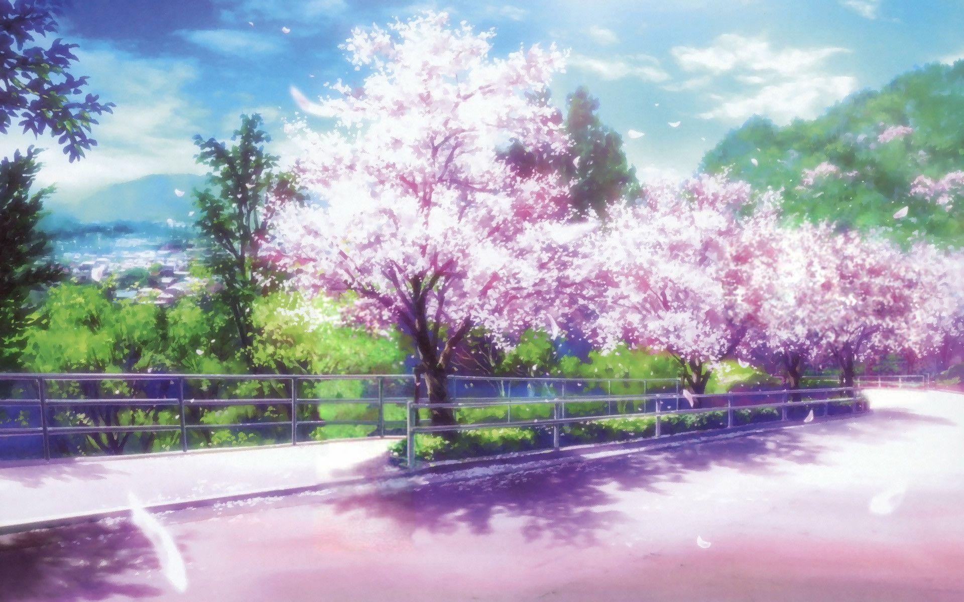 Anime scenery desktop wallpaper - photo #20 - Cherry blossom