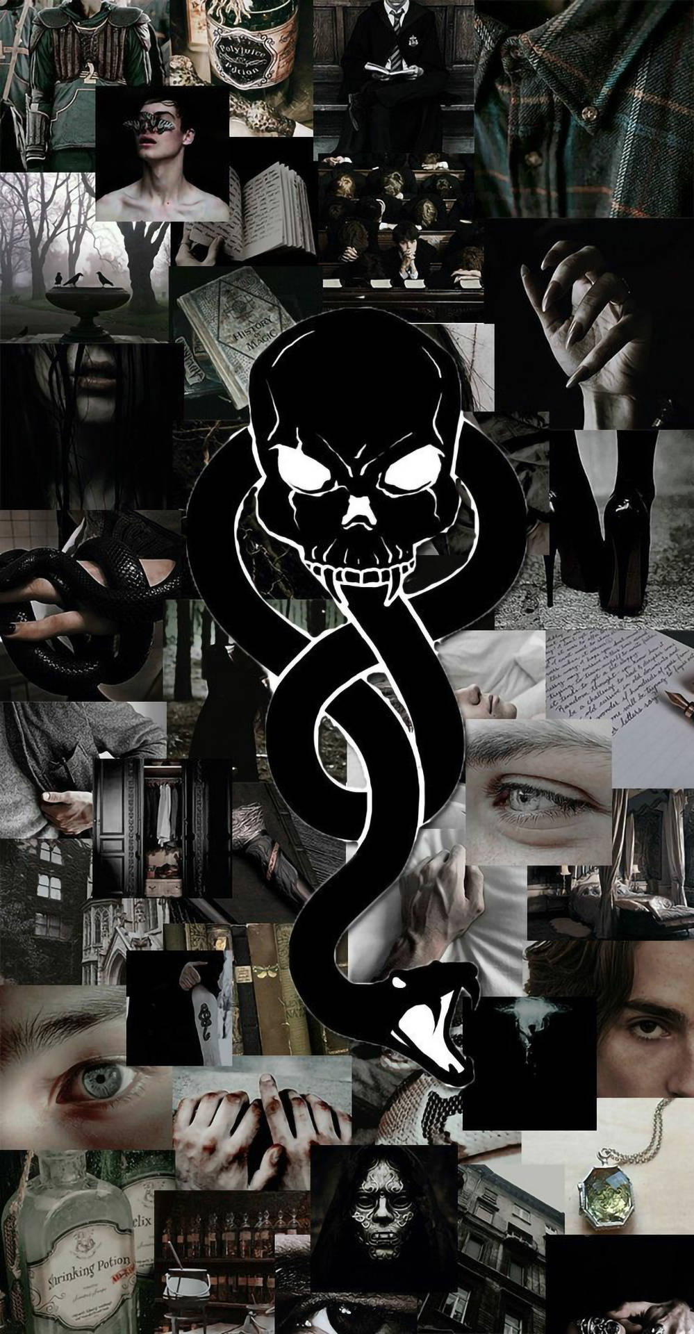 A collage of pictures with skulls and snakes - Harry Potter