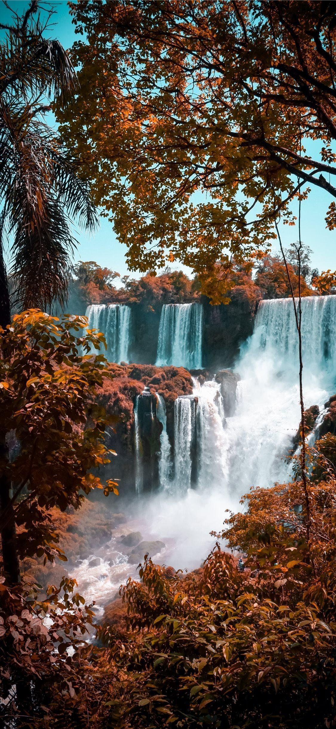 A beautiful waterfall surrounded by trees in the fall - Waterfall