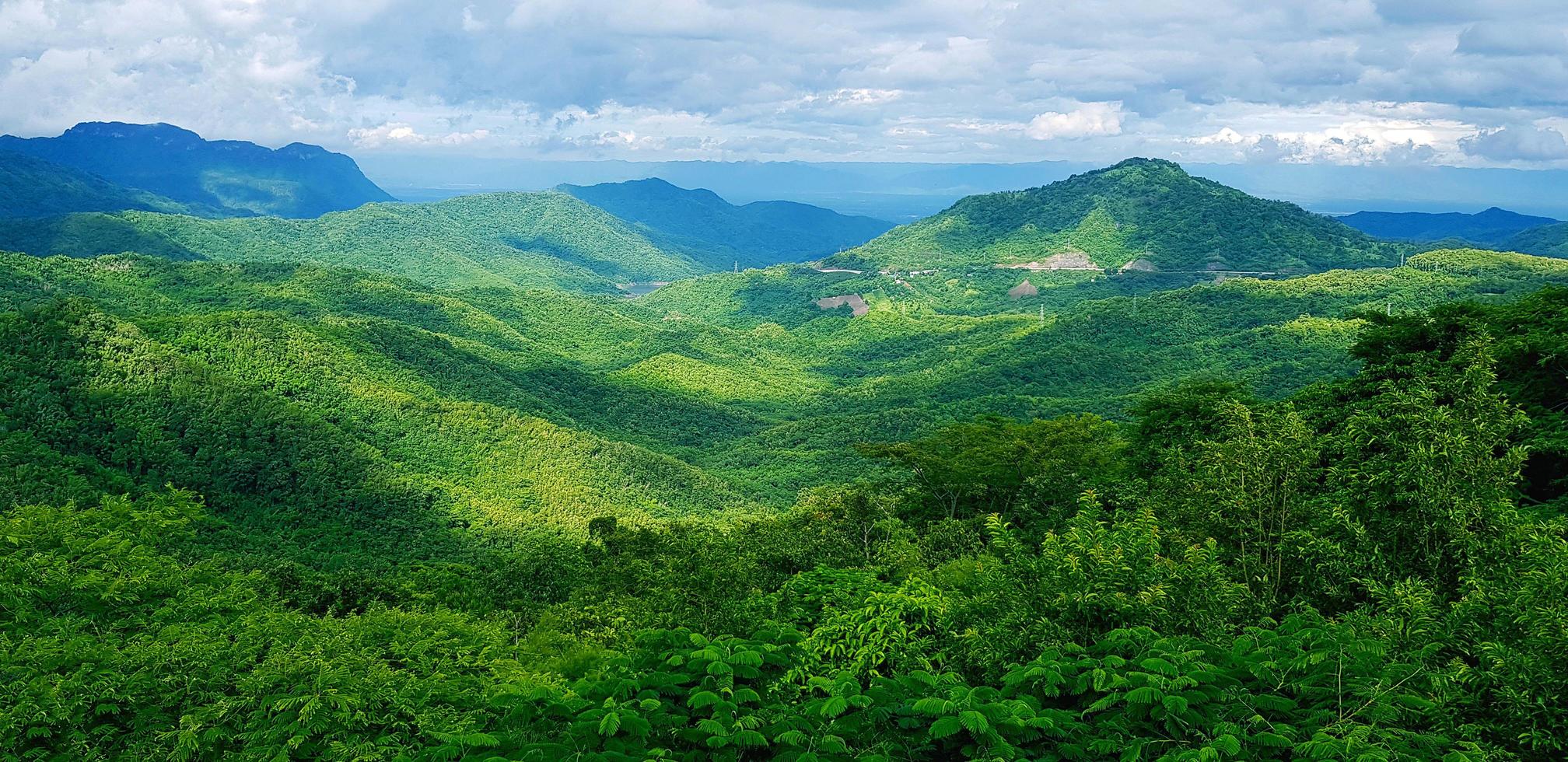 A lush green mountain range with a cloudy blue sky above. - Jungle