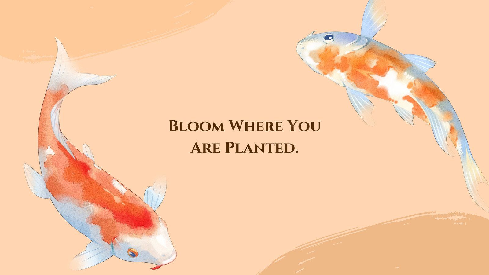 Bloom where you are planted desktop wallpaper - Fish