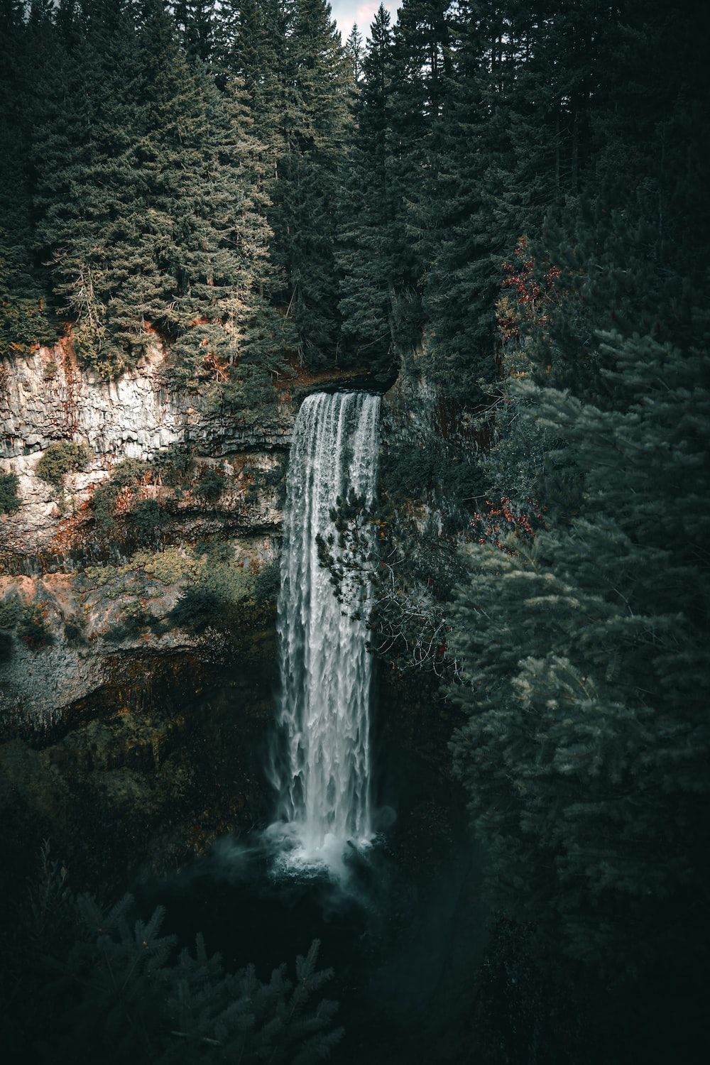 A waterfall in the middle of a forest photo