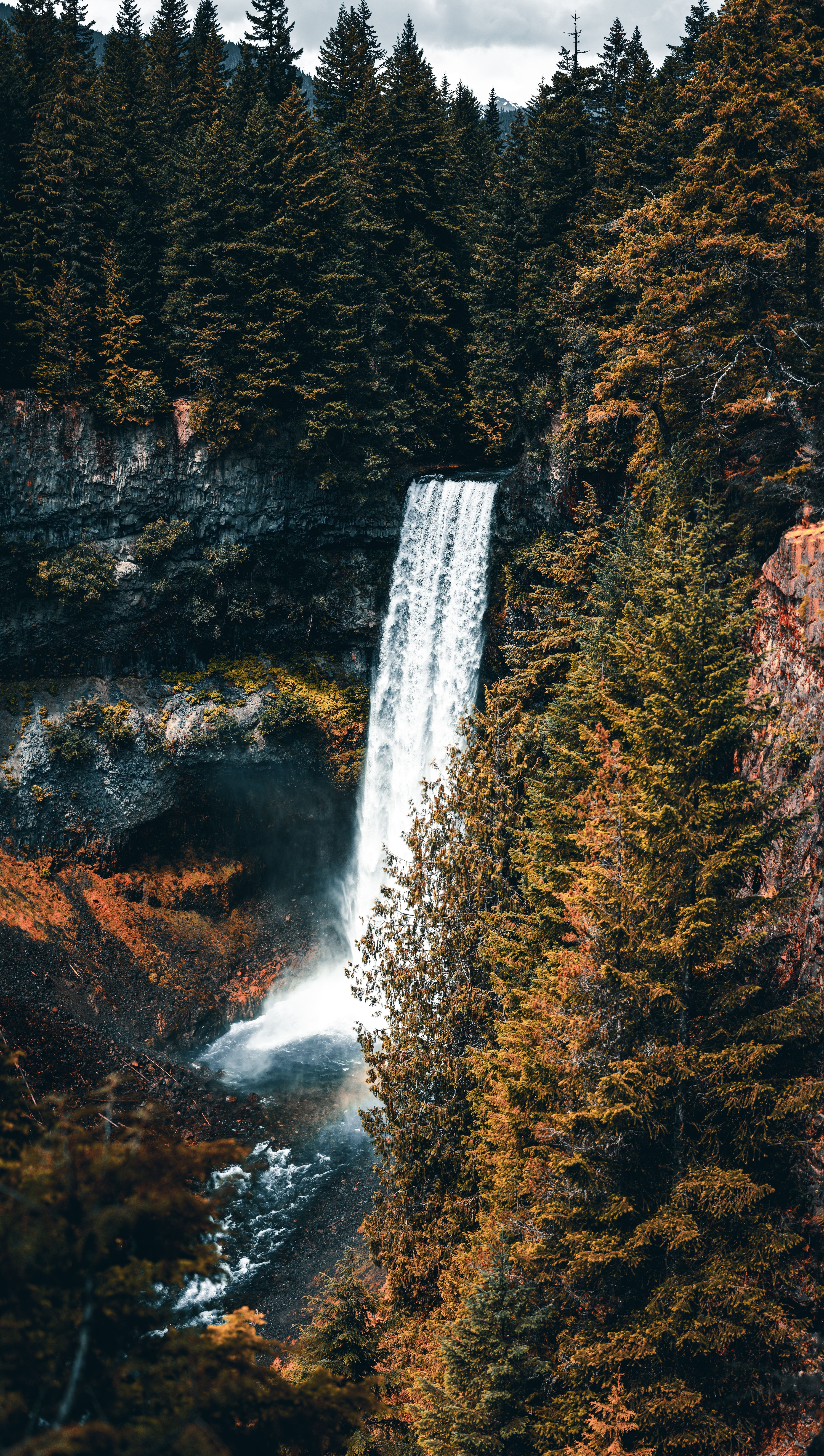 A foaming waterfall streams through a rocky cliff surrounded by trees. - Waterfall