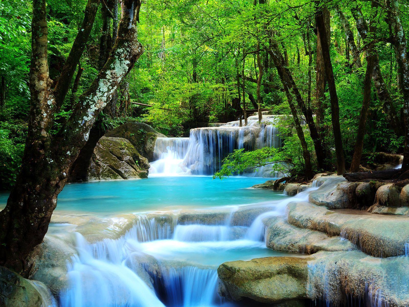 A beautiful waterfall in the forest - Waterfall