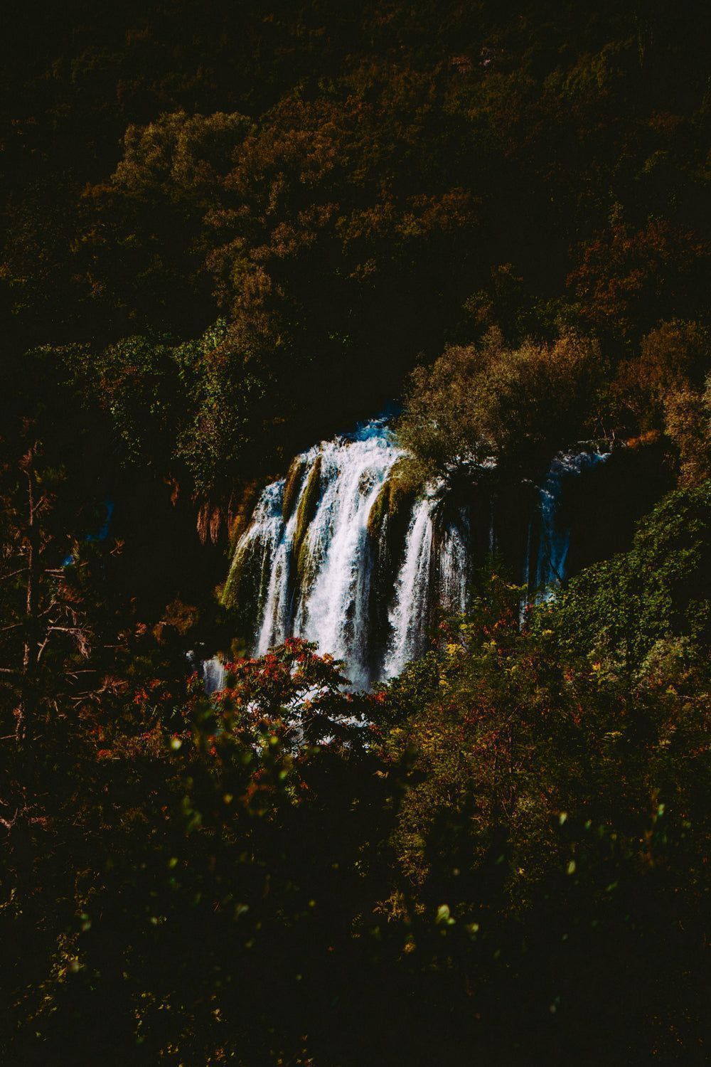 A waterfall surrounded by trees - Waterfall