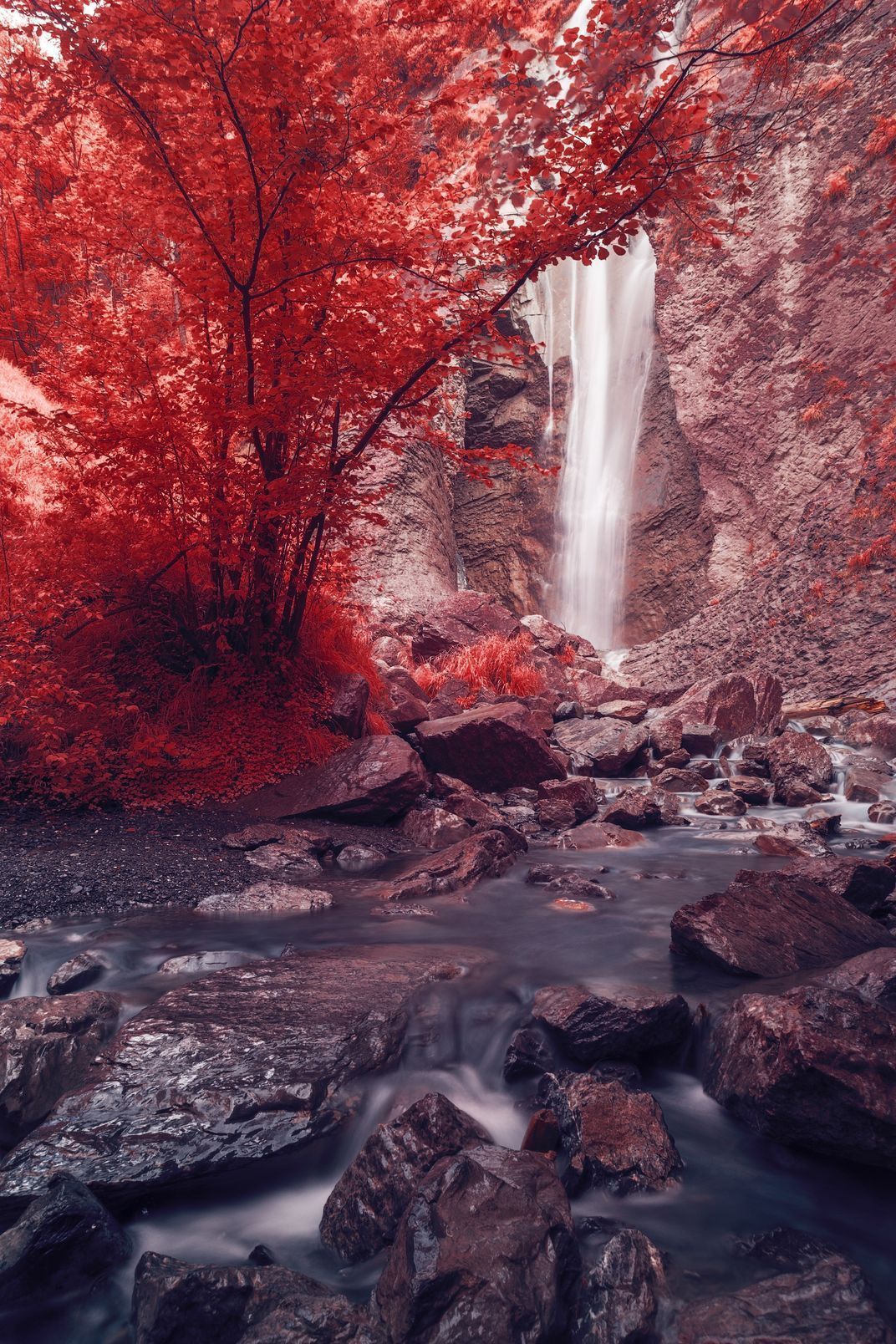 A red waterfall surrounded by red trees and rocks - Waterfall