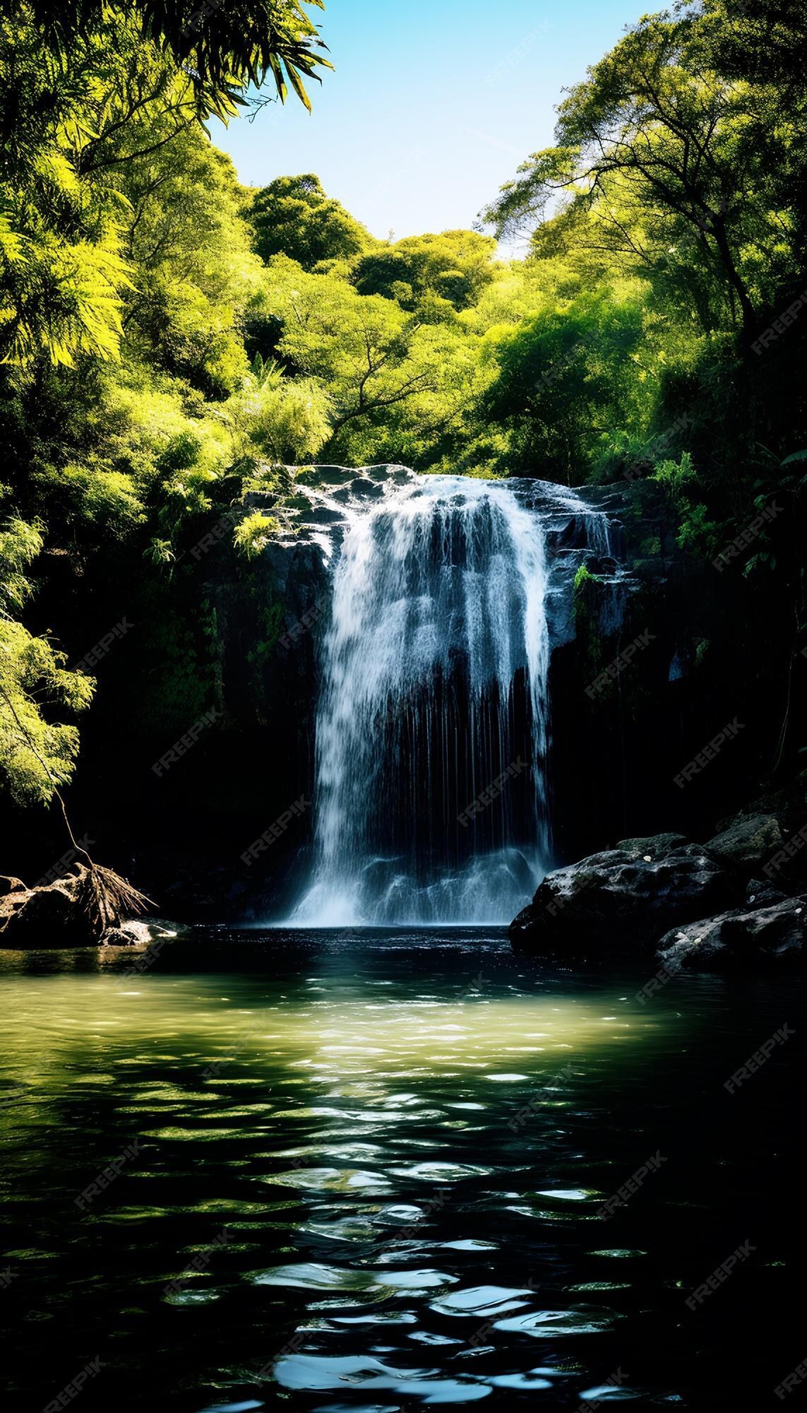 A waterfall surrounded by trees and greenery - Waterfall