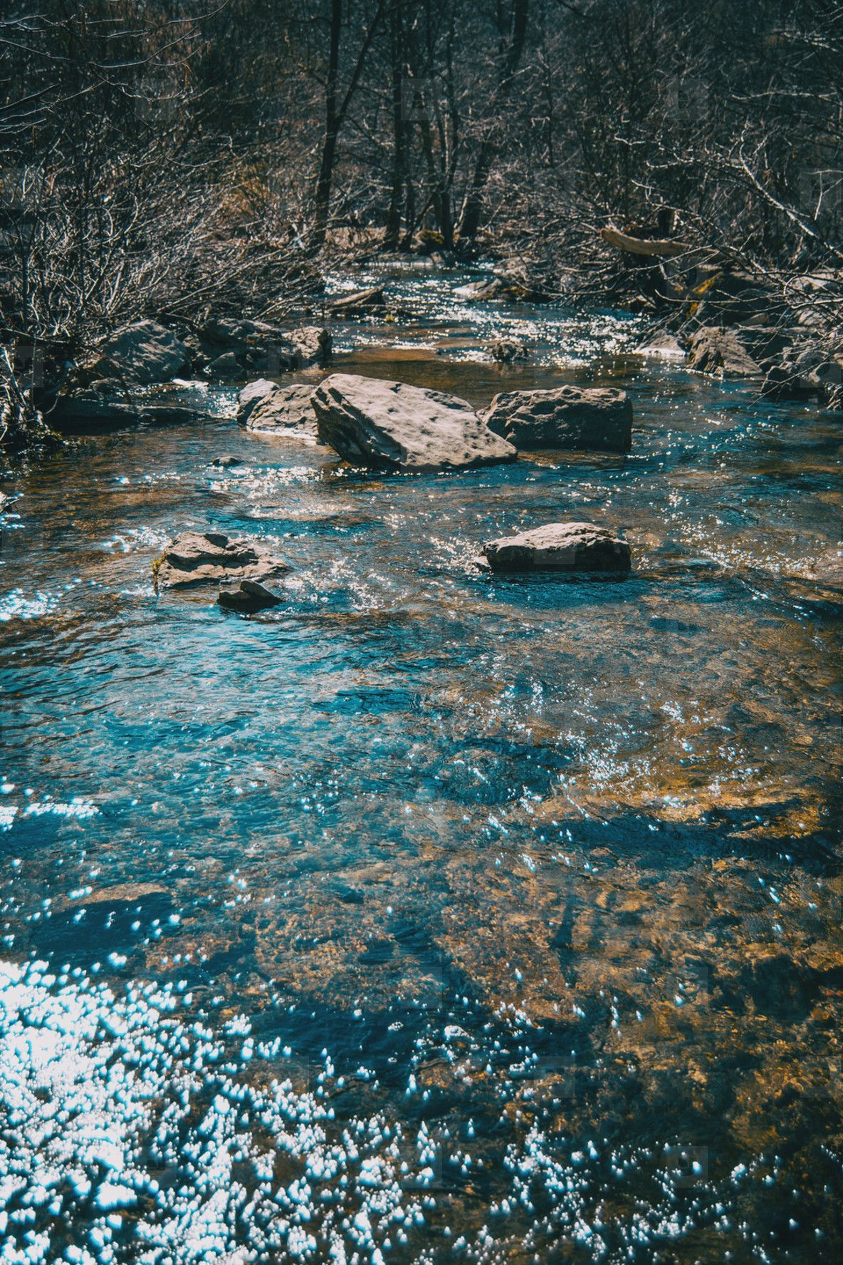 A stream in the woods with rocks in it - River