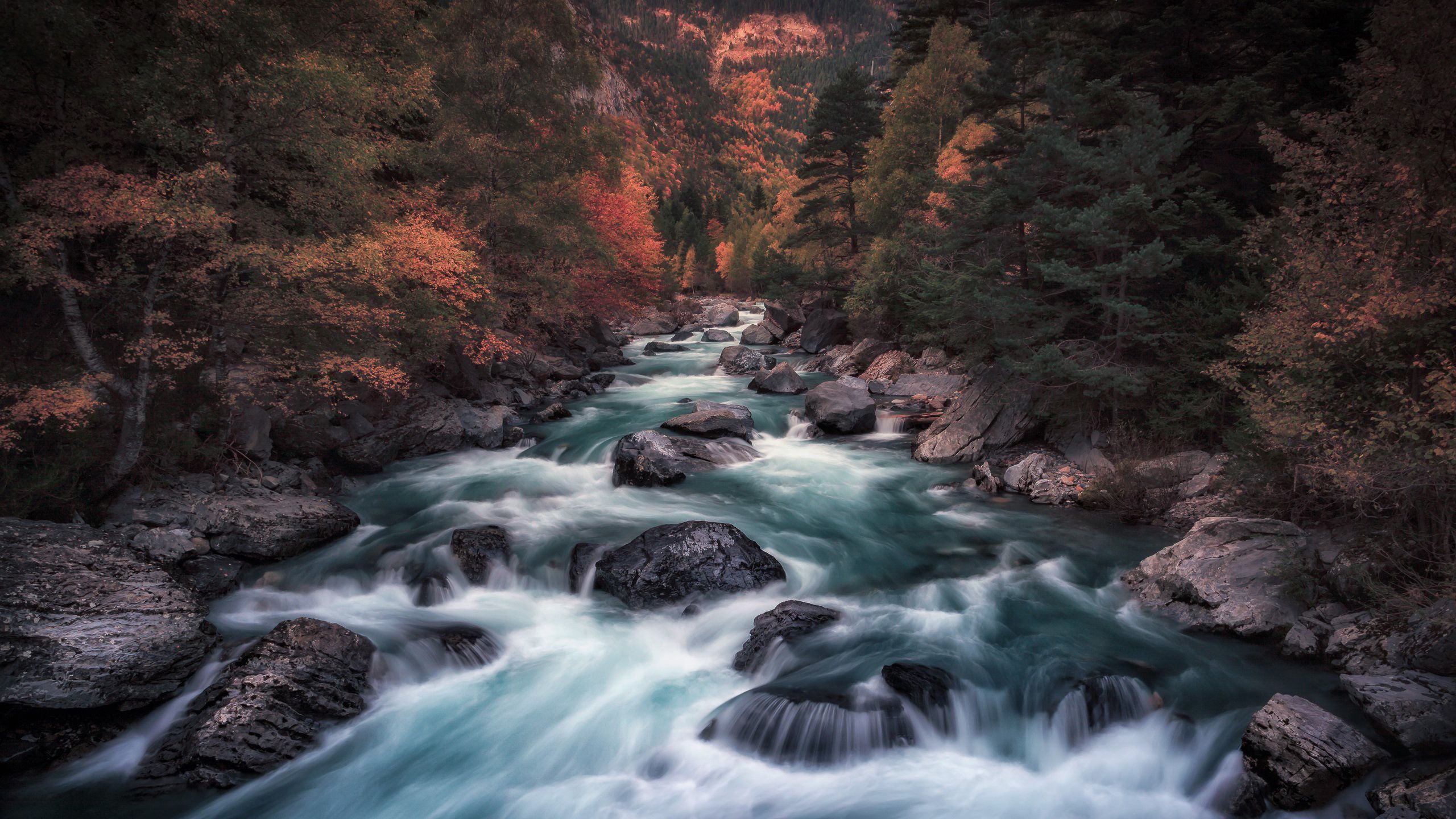 A river flows through a forest in autumn. - River