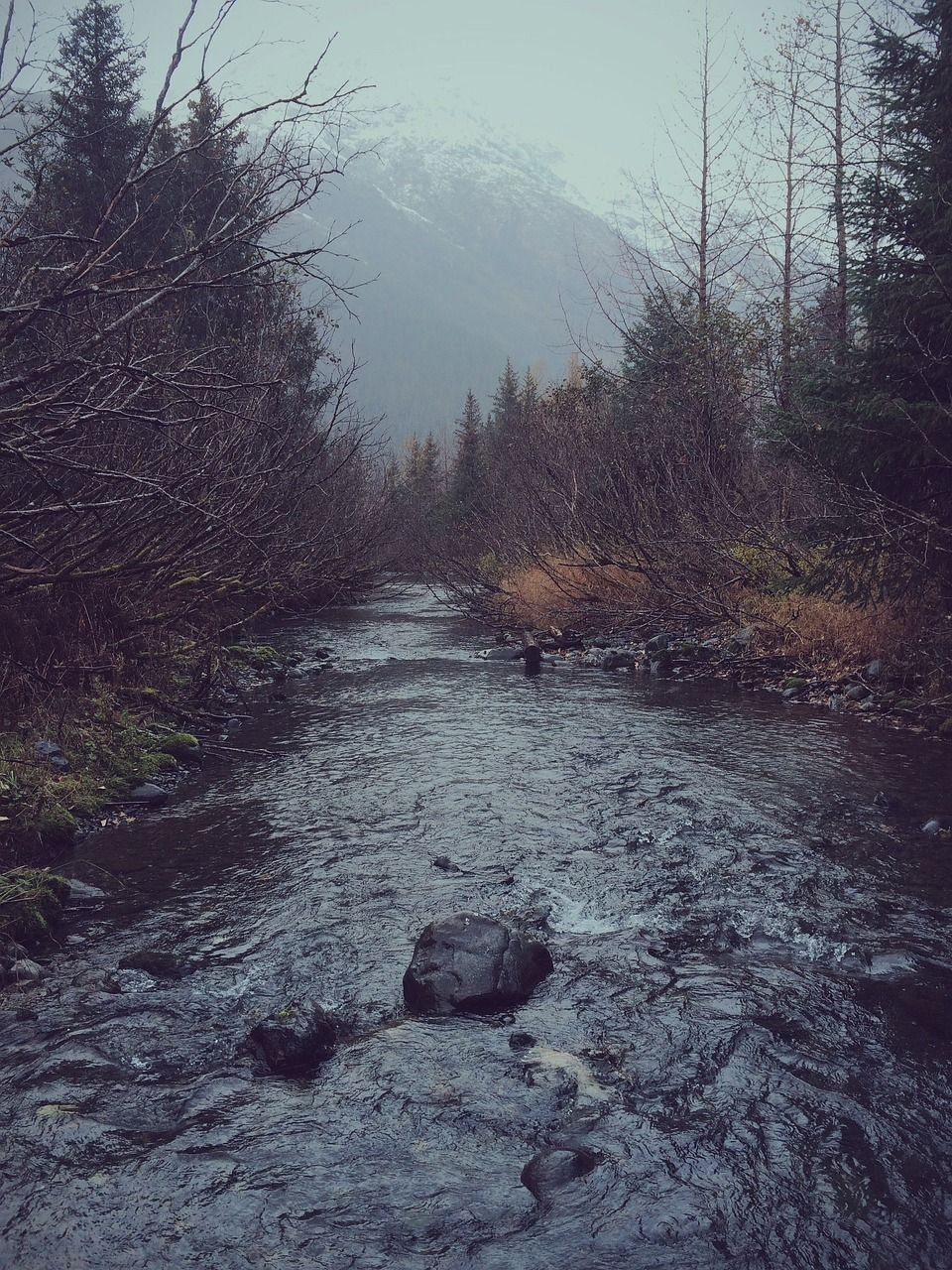 A river surrounded by trees and mountains. - River