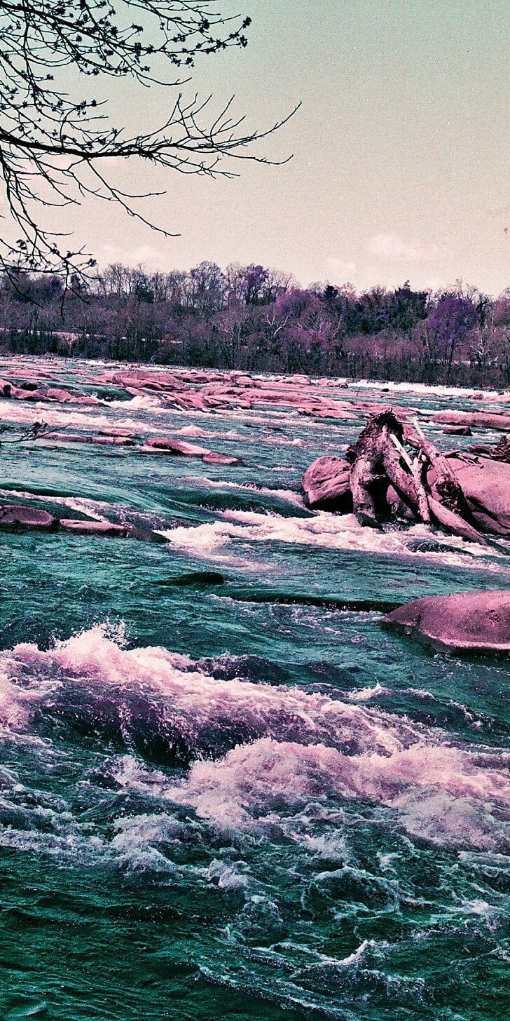 A river with rocks and trees in the background - River