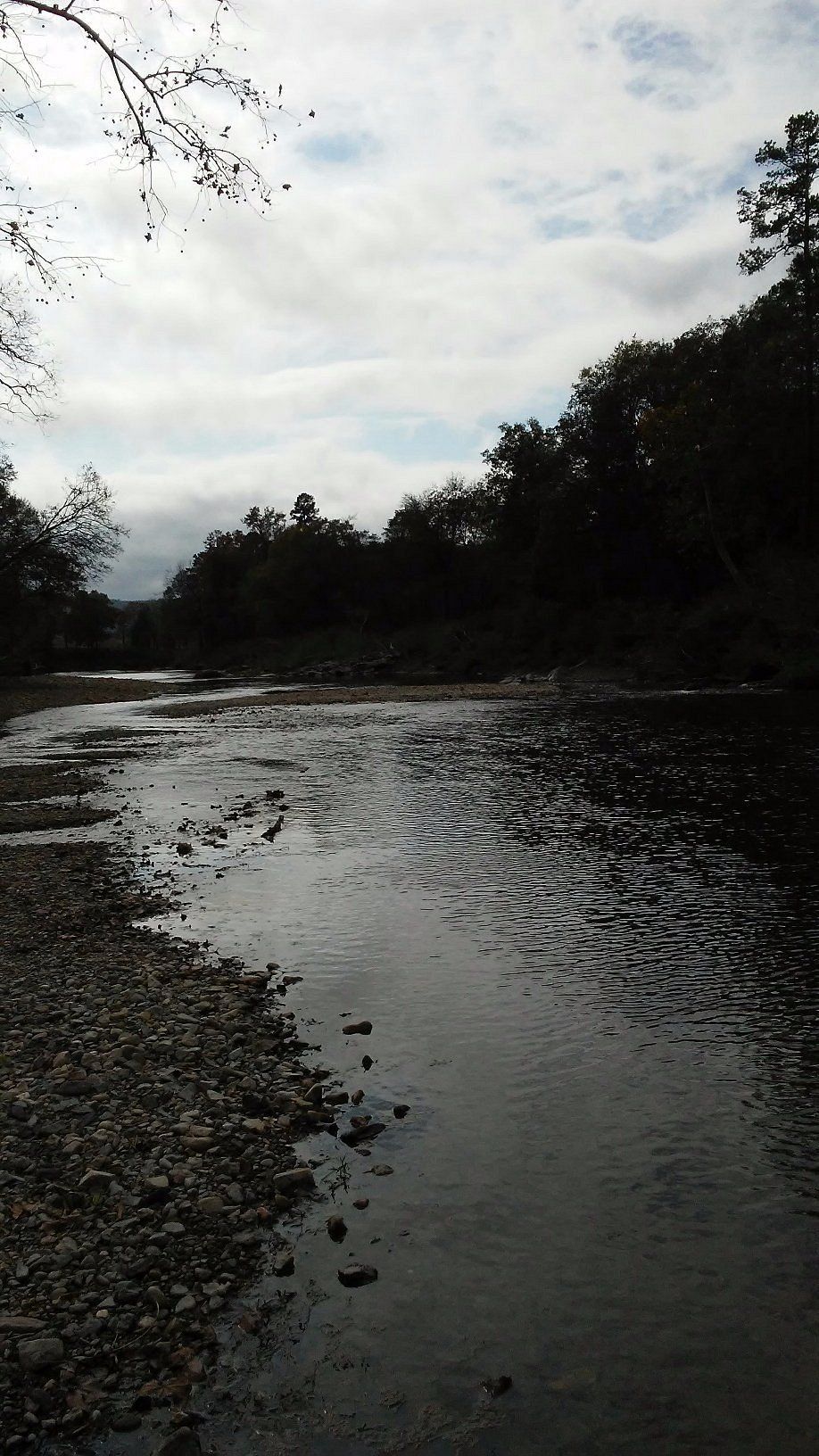 A view of the river with trees on the side. - River