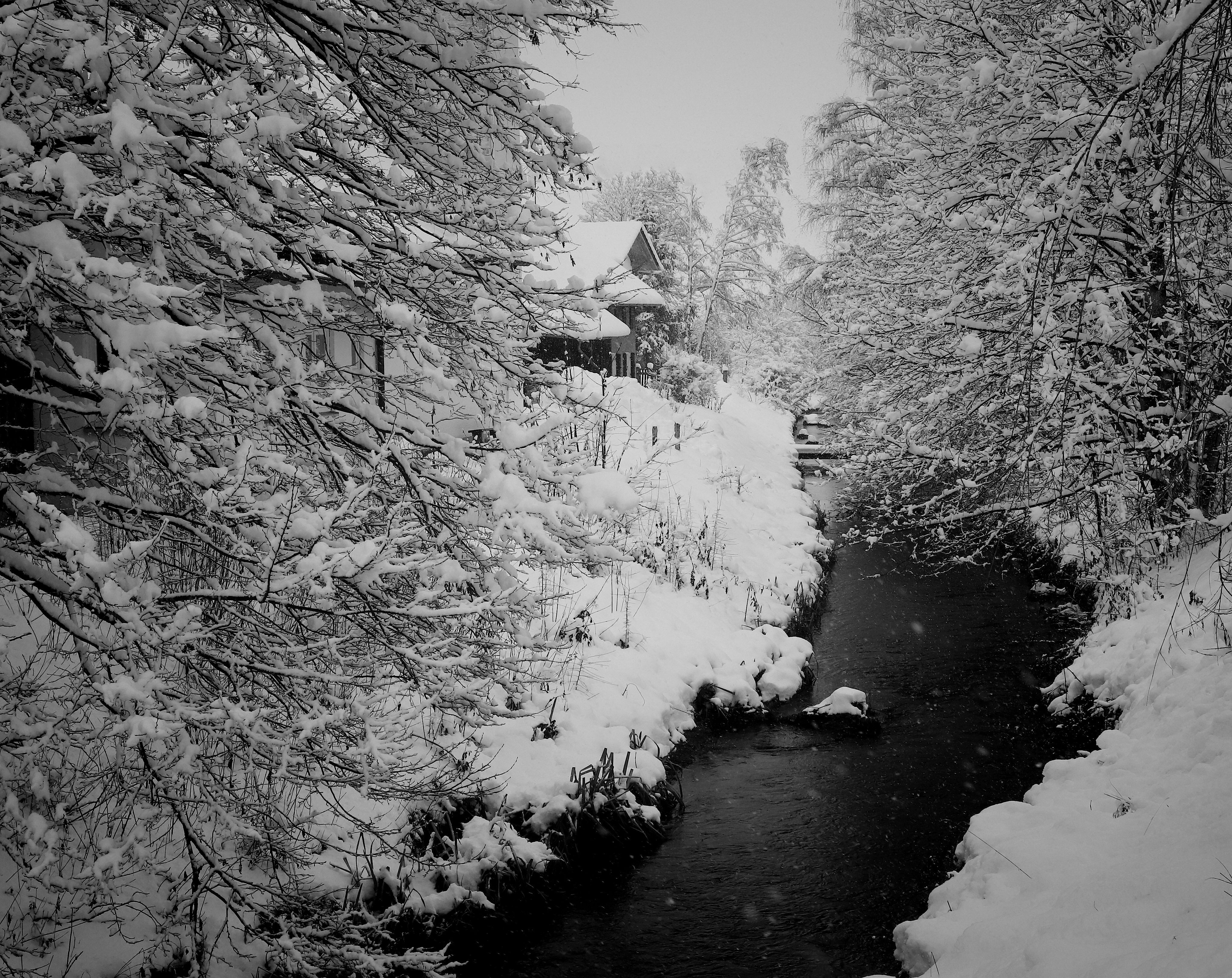 A snowy river winds through a forest and is lined with snow covered trees. - River