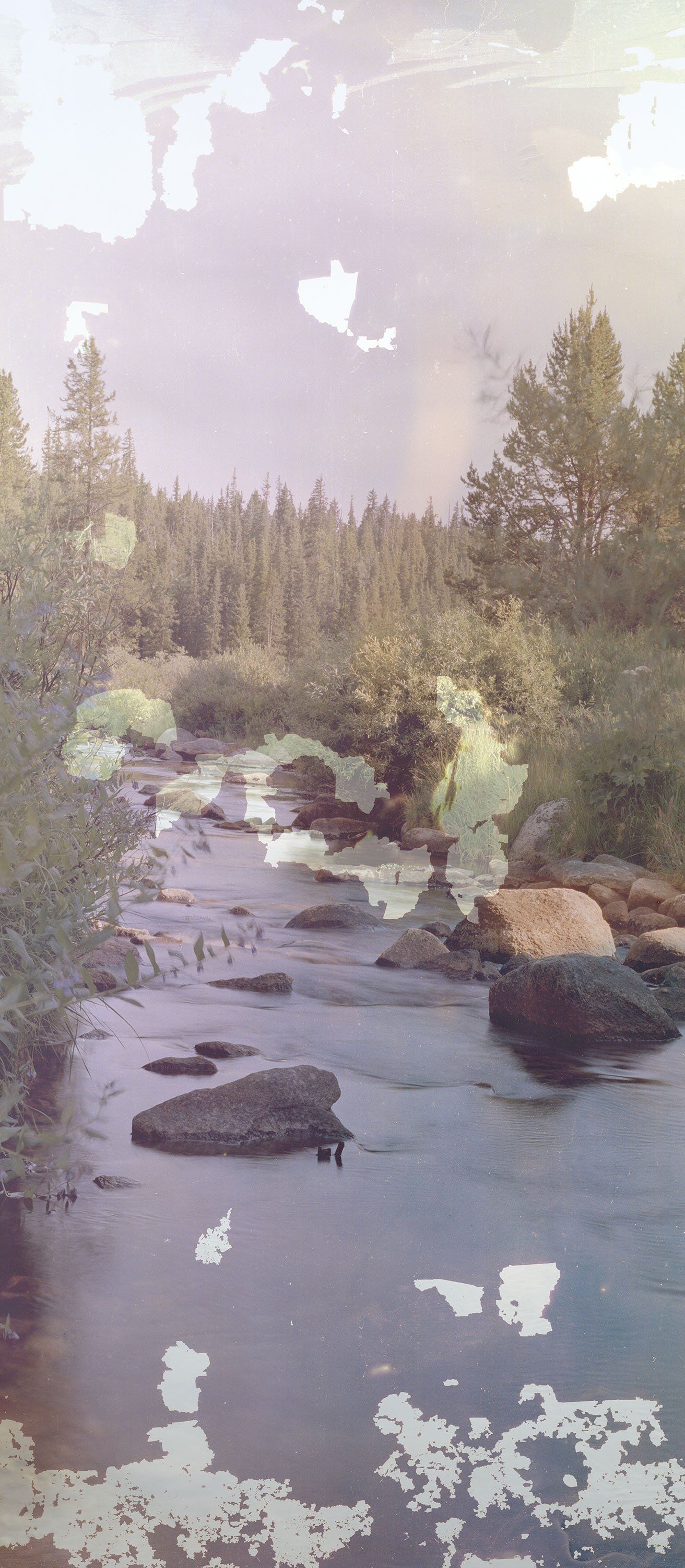 A serene river winds through a forest, with rocks visible in the shallow water and tall trees surrounding the area. The sky is a mix of blue and pink, with a few clouds visible in the distance. - River