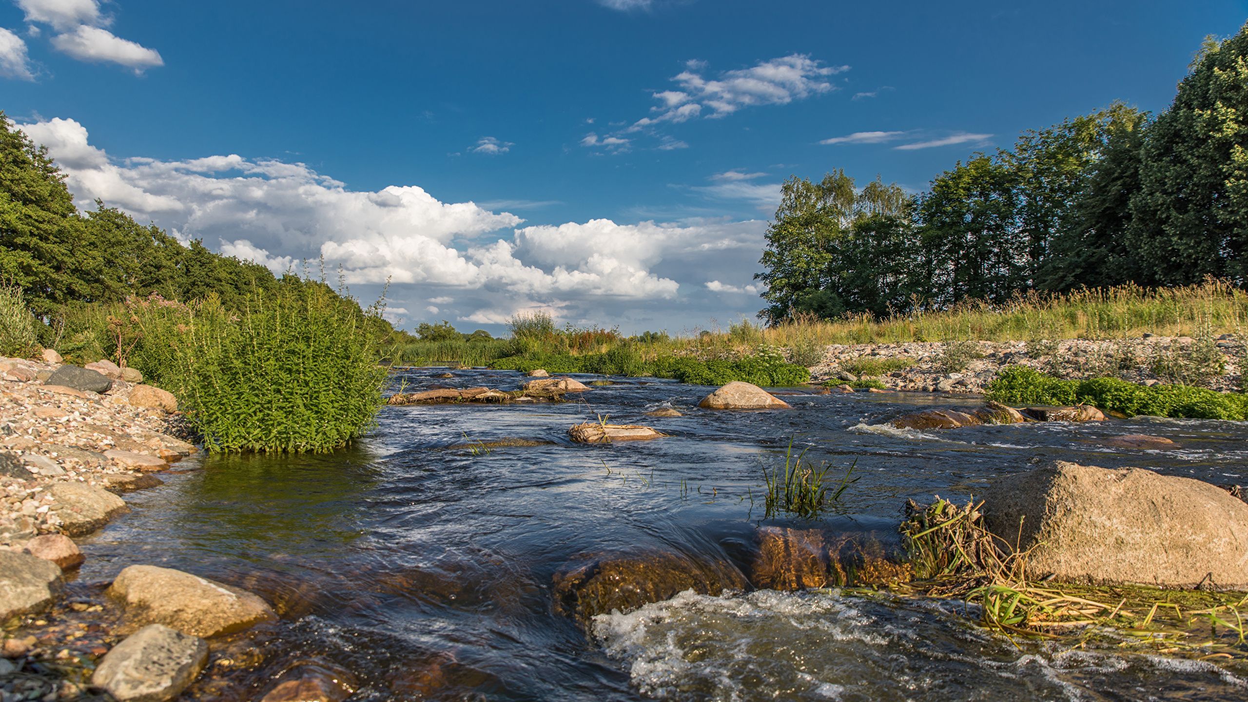 A river with rocks and trees on the side of it. - River