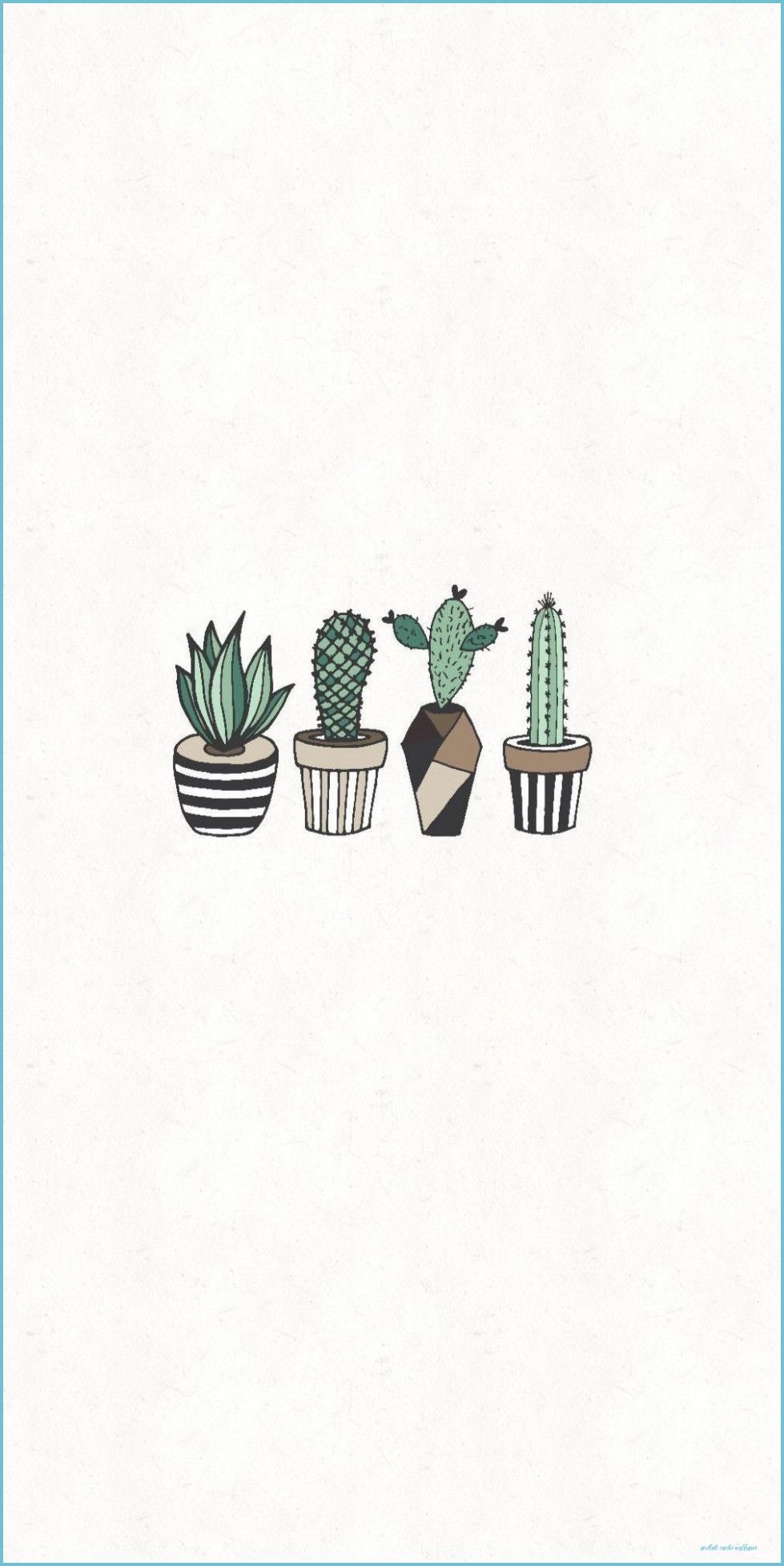 Succulent Aesthetic Wallpaper