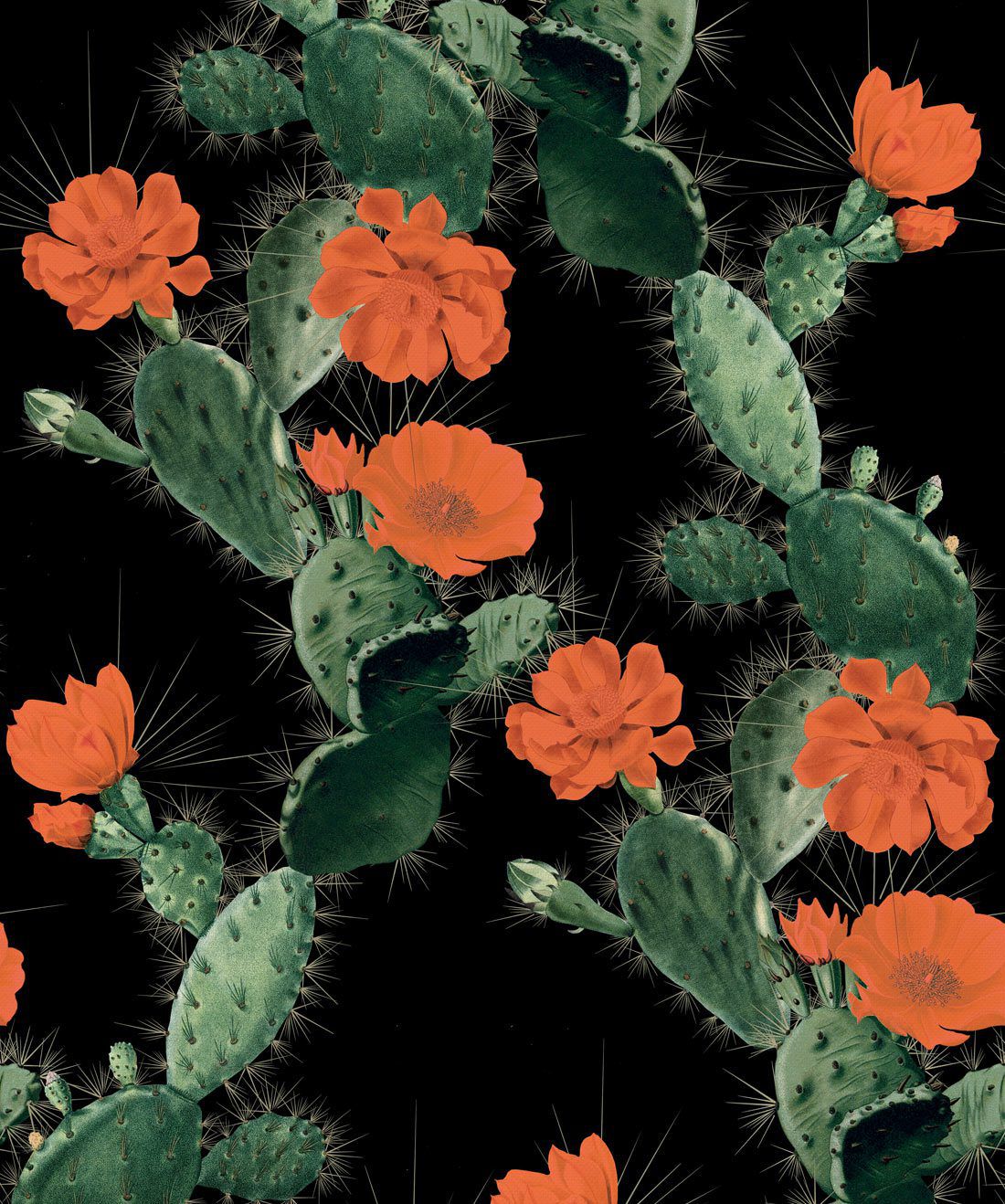 Cactus Wallpaper • Bold Alluring Cacti Design