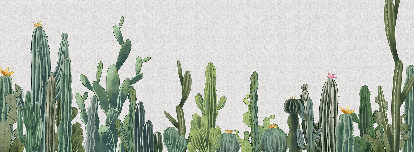 Green Cactus Wallpaper Mural. Botanical Wallpaper UK