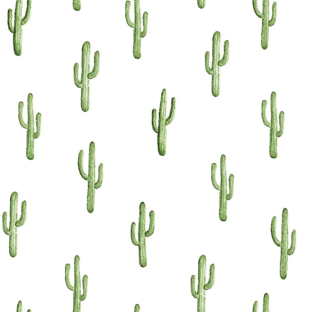 A pattern of green cacti on a white background - Cactus