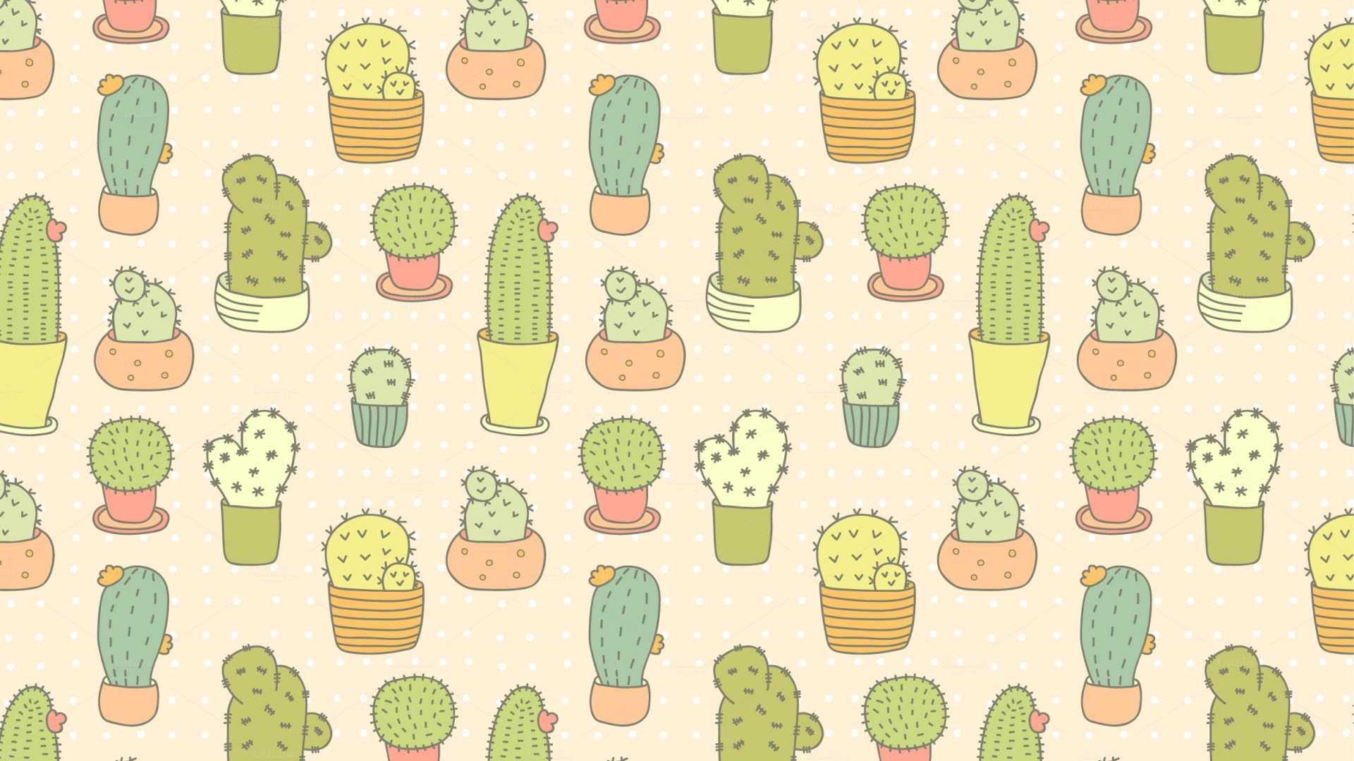 A pattern of cacti in pots - Cactus