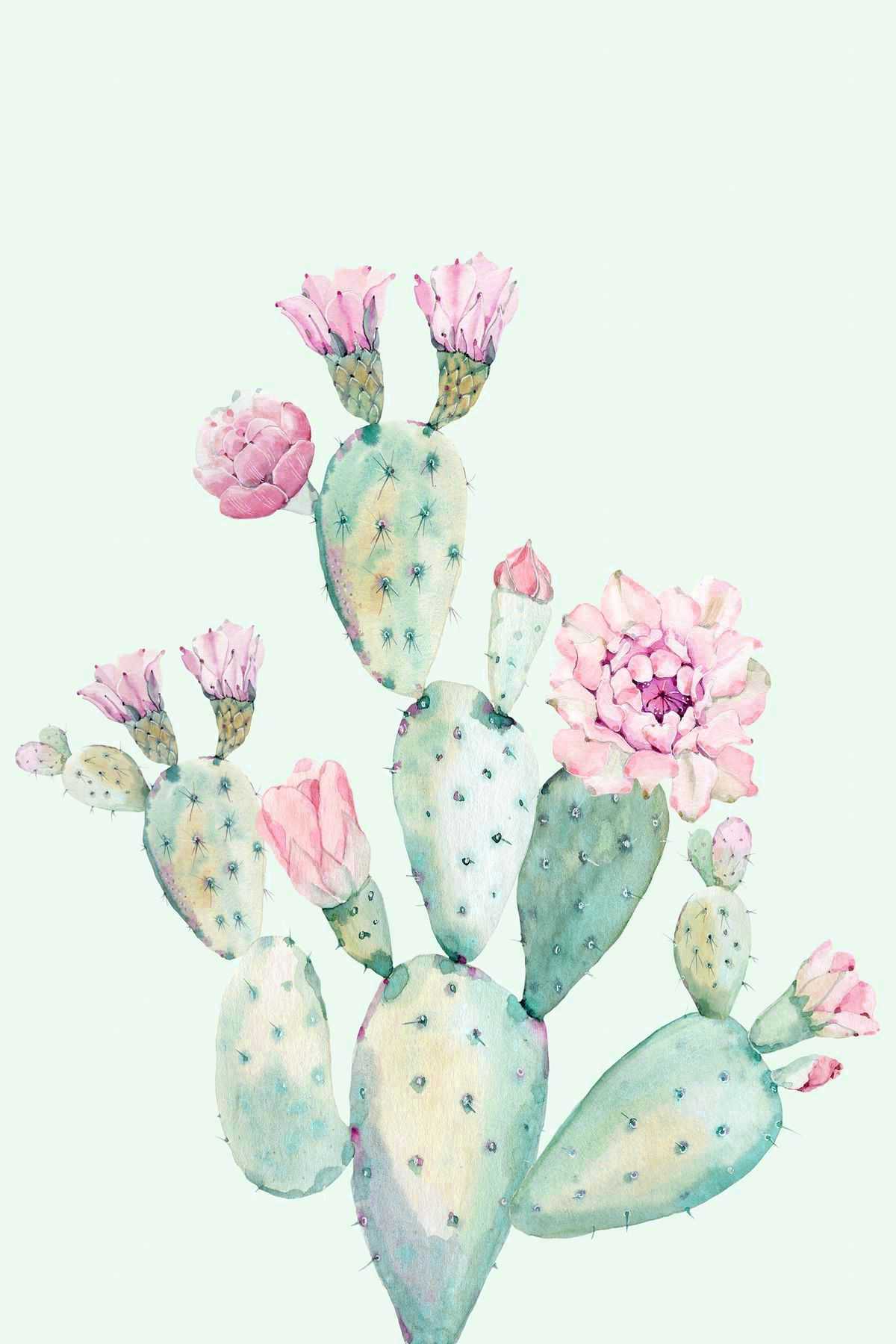 A watercolor painting of a blooming cactus on a green background - Cactus