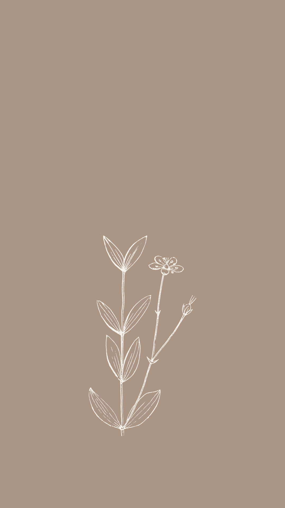A drawing of some leaves on brown paper - Spring, phone, minimalist, bee, beautiful
