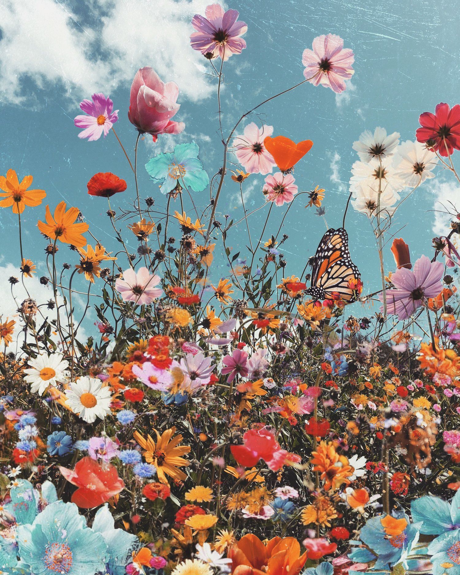 Spring Flower Aesthetic Wallpaper