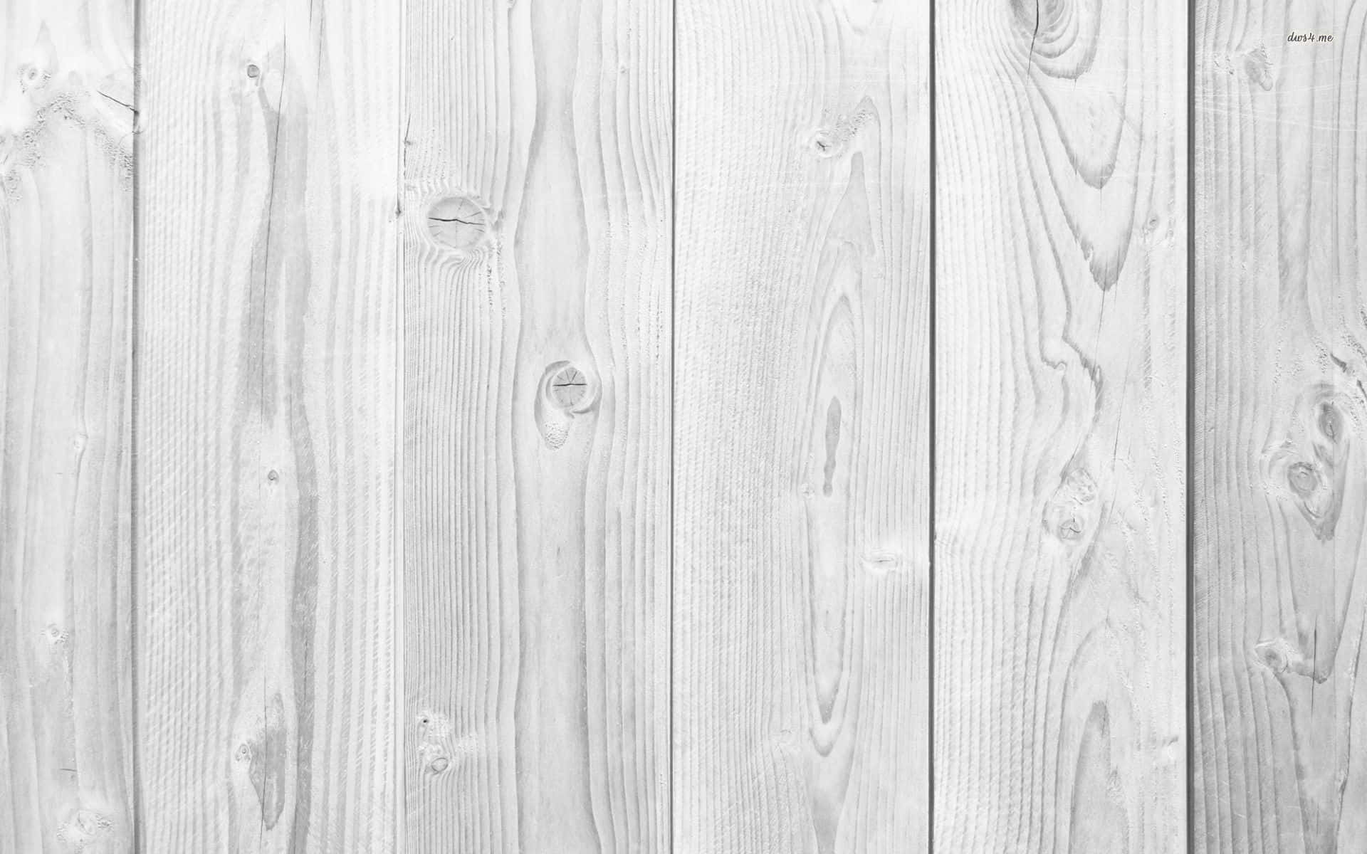 White wood texture background. - Woods