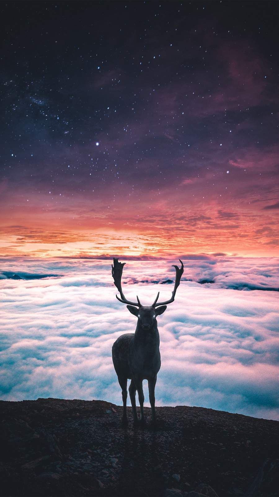 Deer Aesthetic Wallpaper Free Deer Aesthetic Background