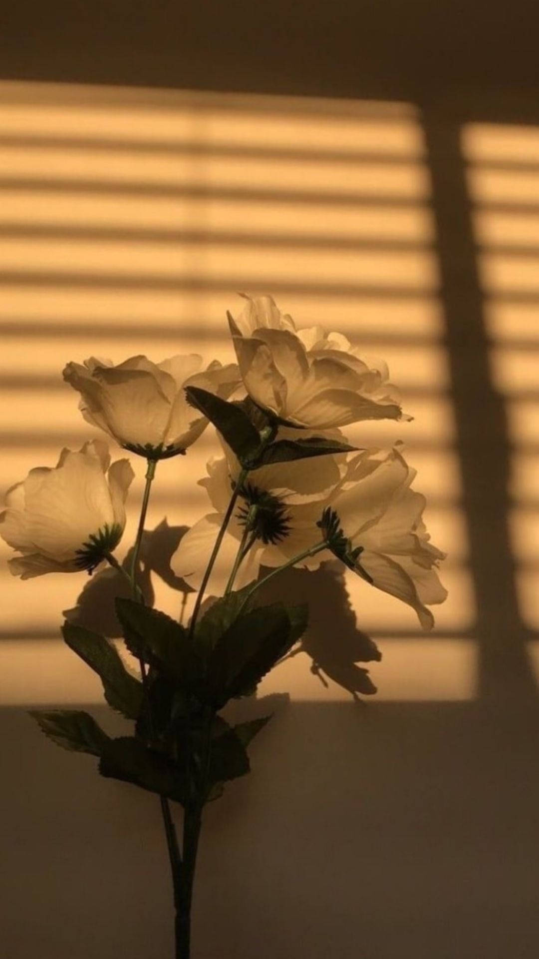 Download Flower Aesthetic In Sunlight Wallpaper